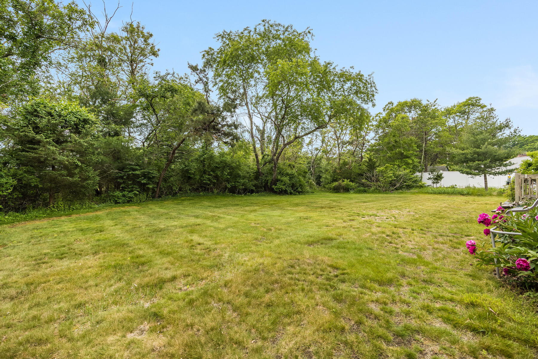 231 Knotty Pine Lane