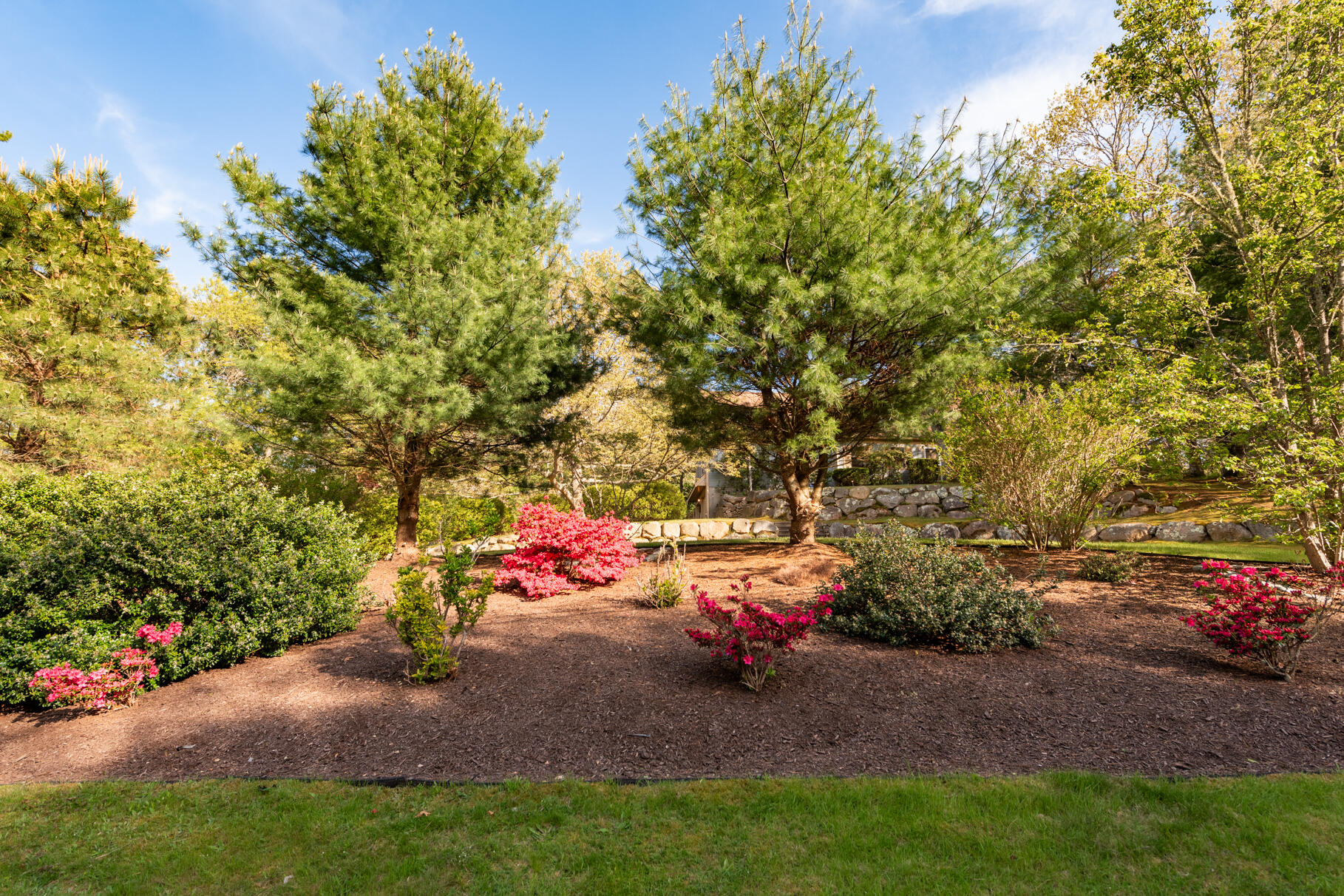 41 Coachman Lane