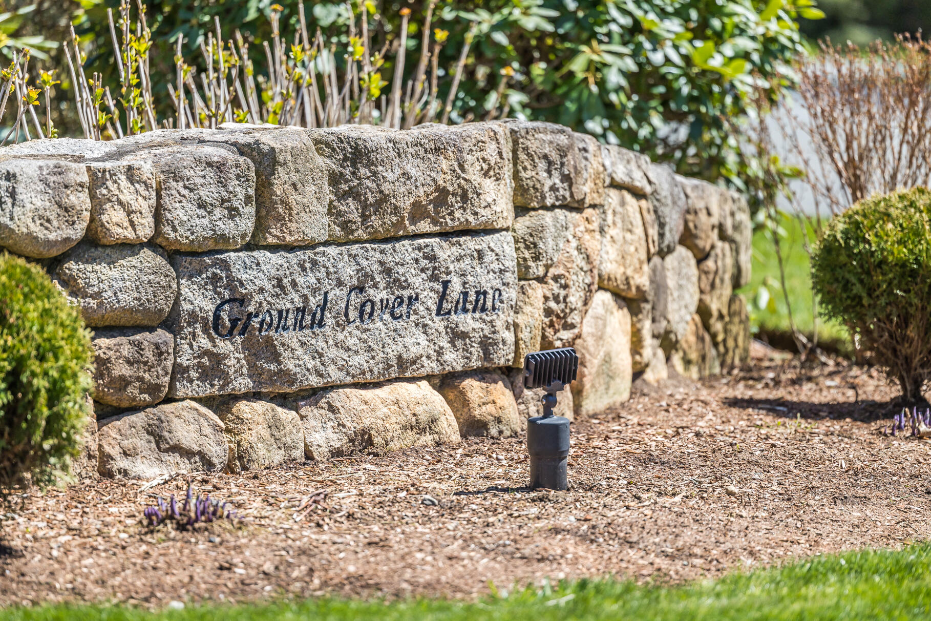 3 Ground Cover Lane