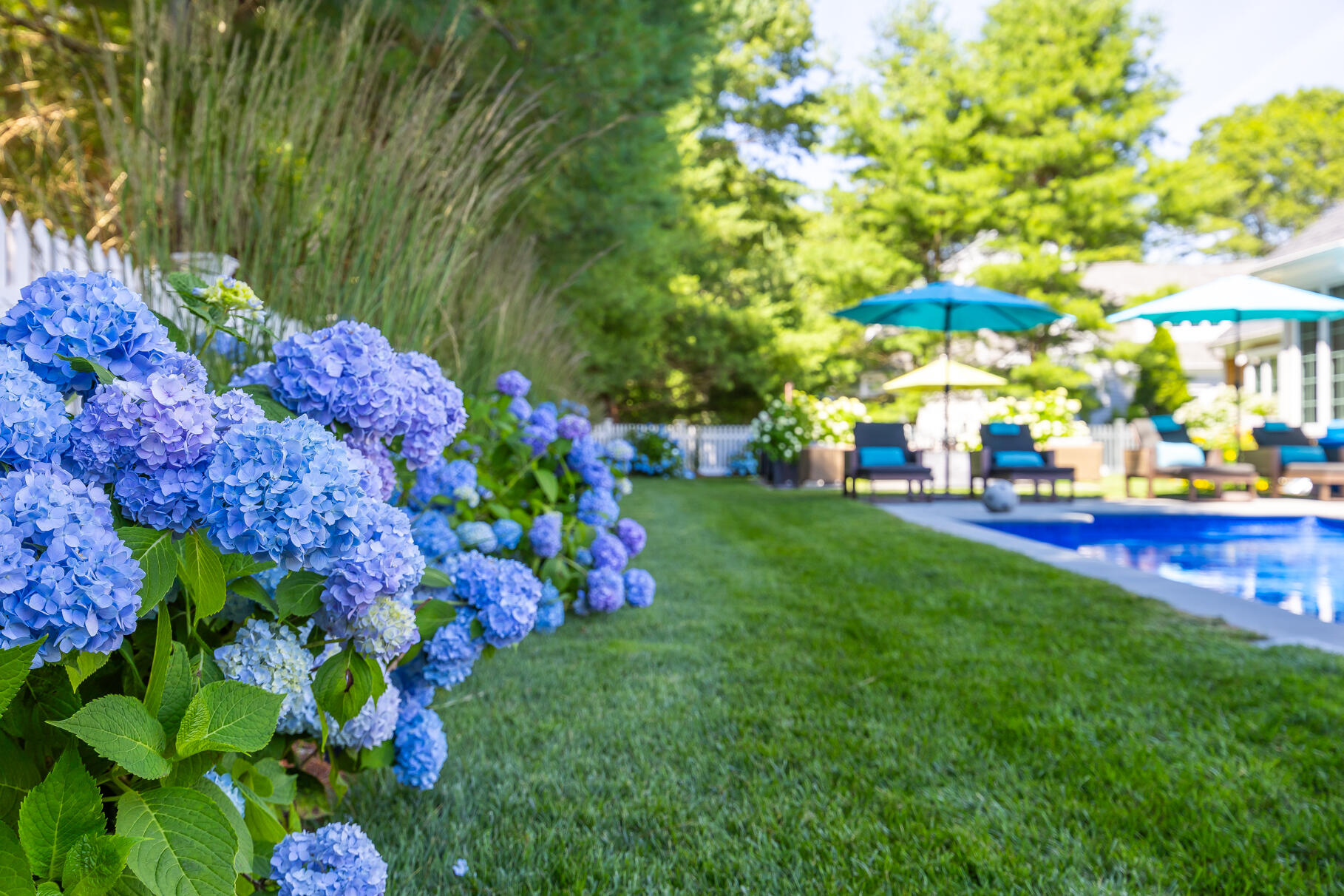 3 Ground Cover Lane