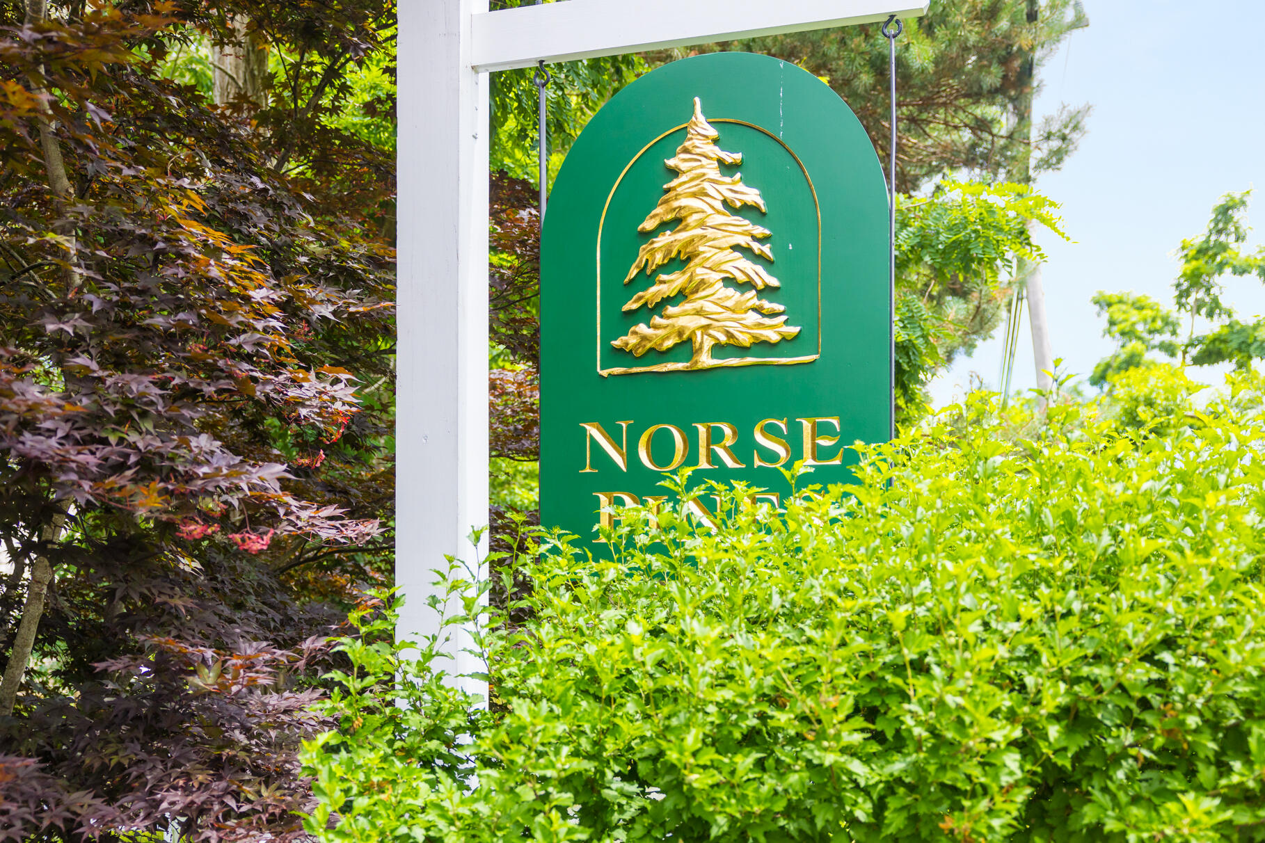 7 Jacobs Meadow Road