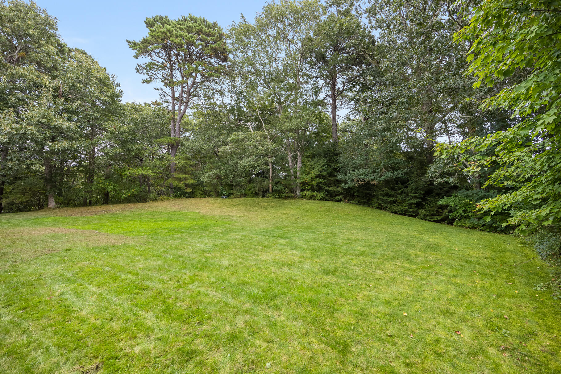 27 Wolf Hill