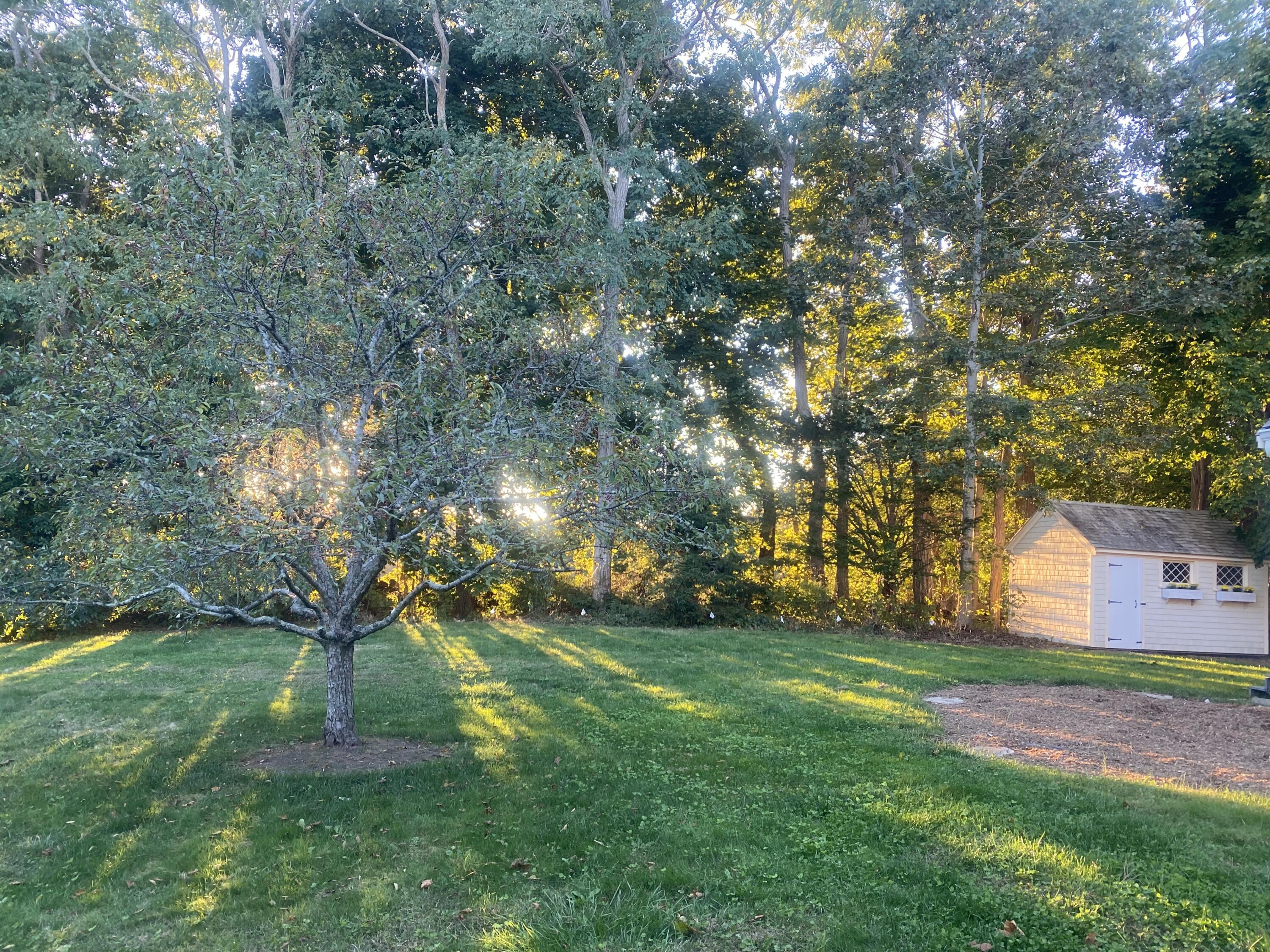 3 Popes Meadow