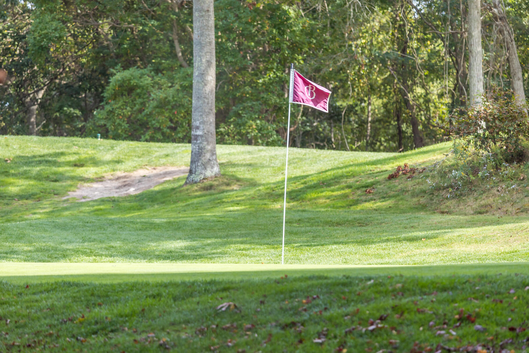 4 Hollyhock Knoll Court UNIT 4