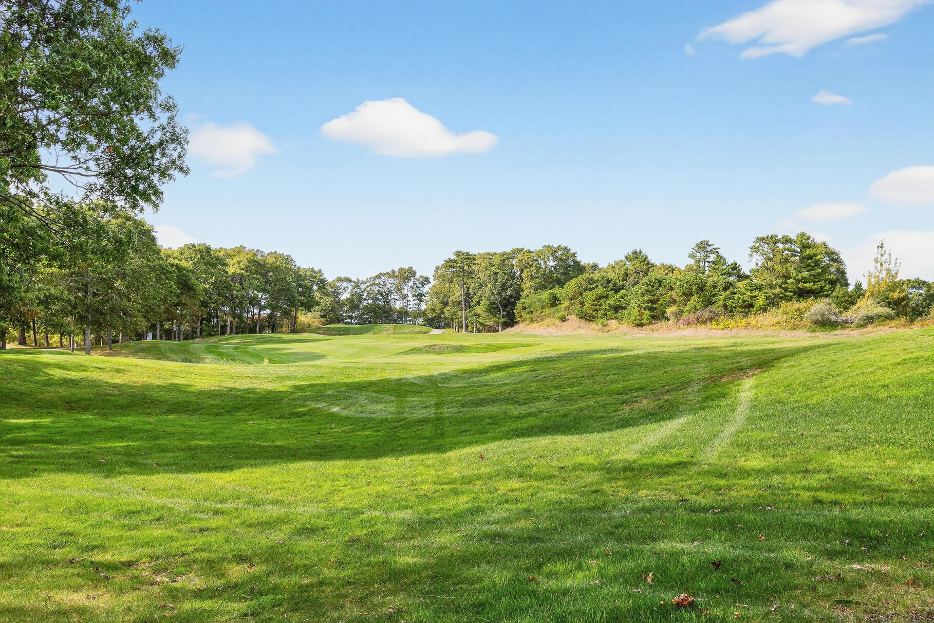 4 Hollyhock Knoll Court UNIT 4