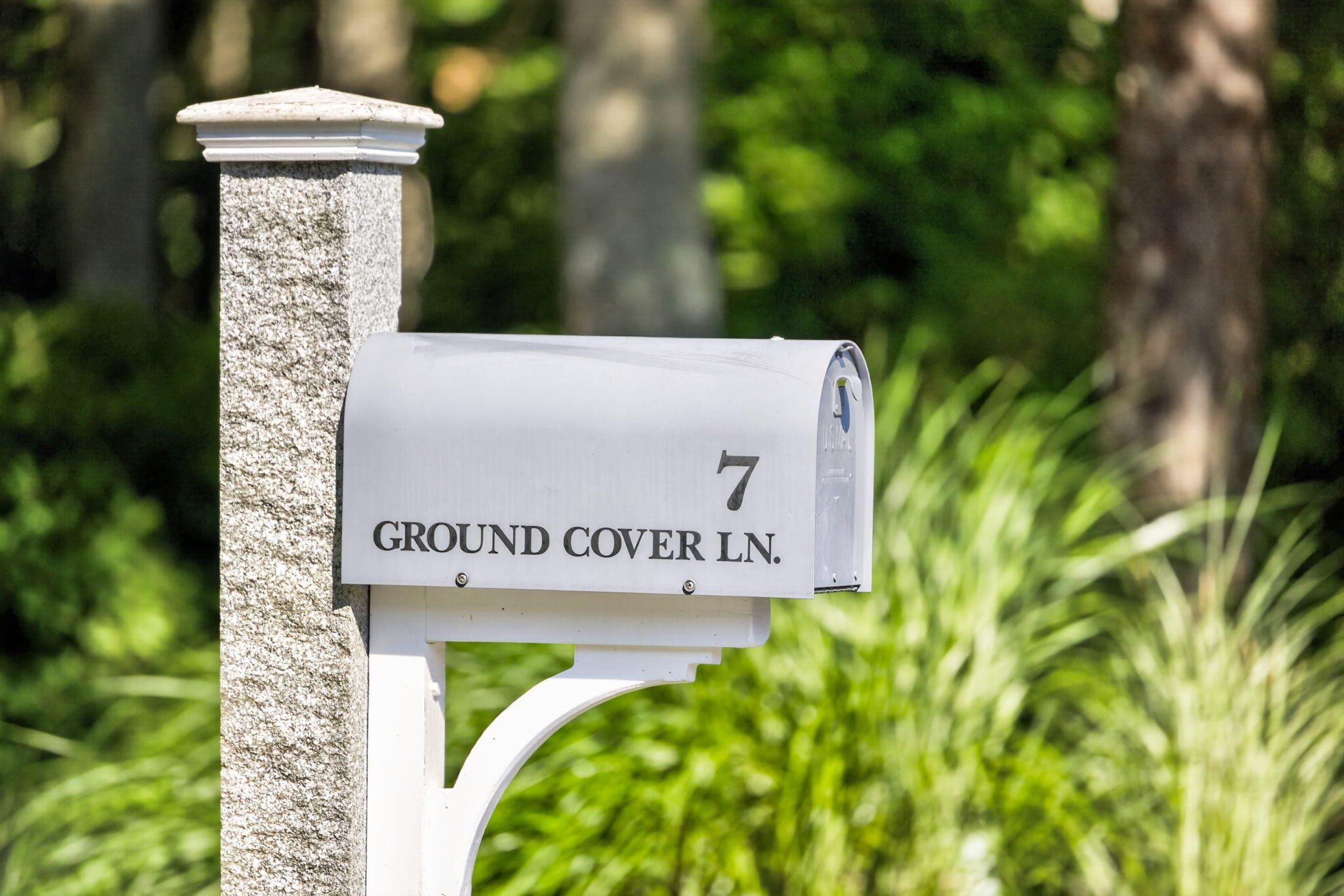 7 Ground Cover Lane