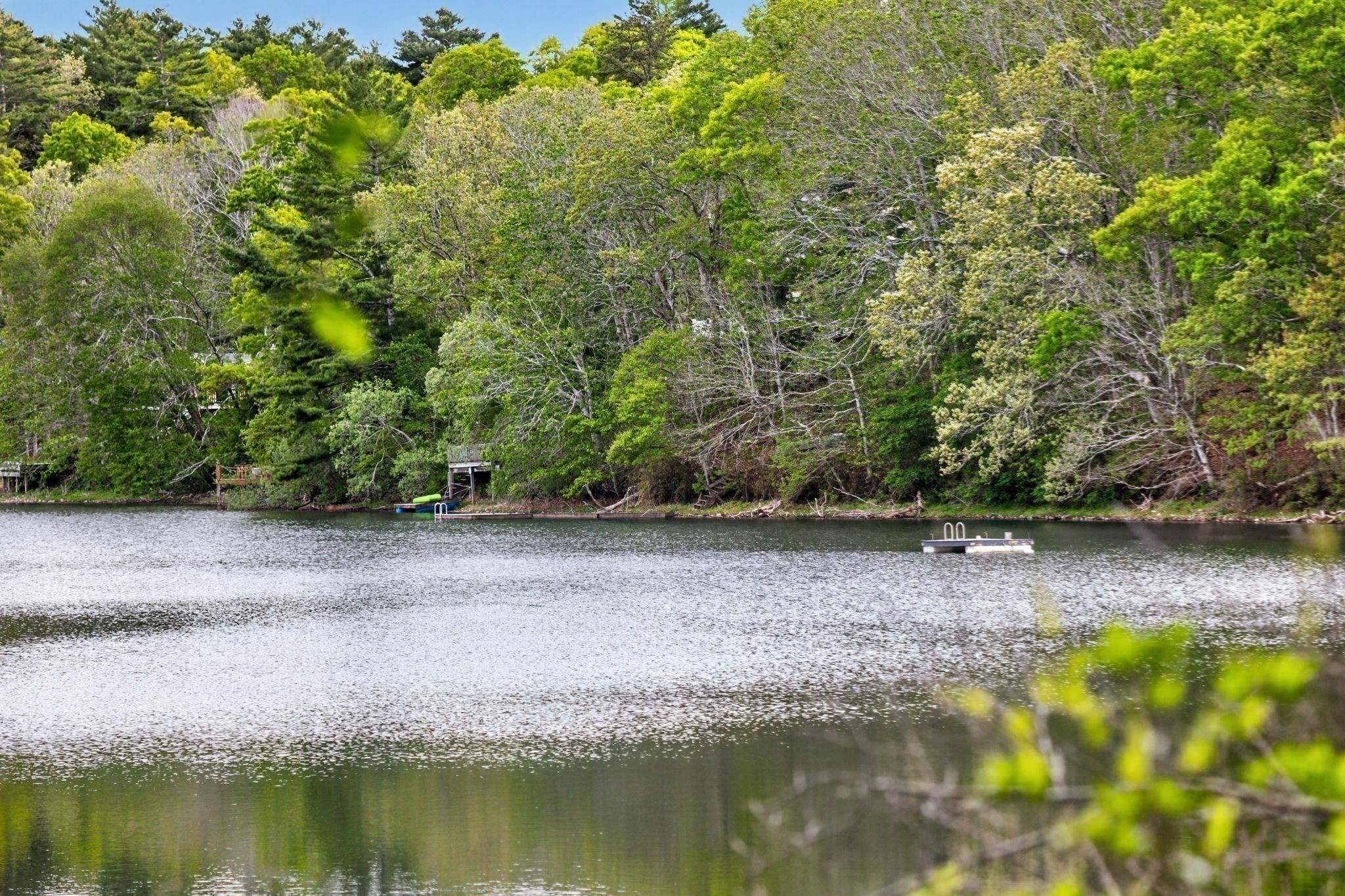 73 Pimlico Pond