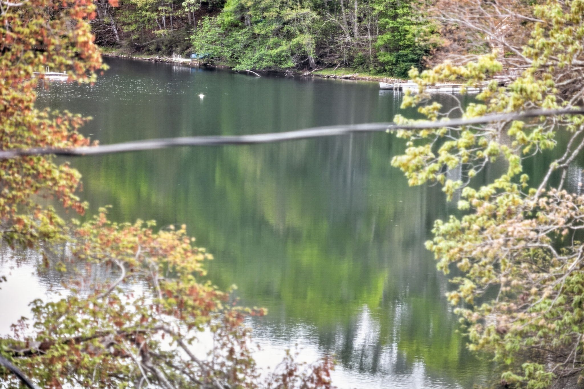 73 Pimlico Pond
