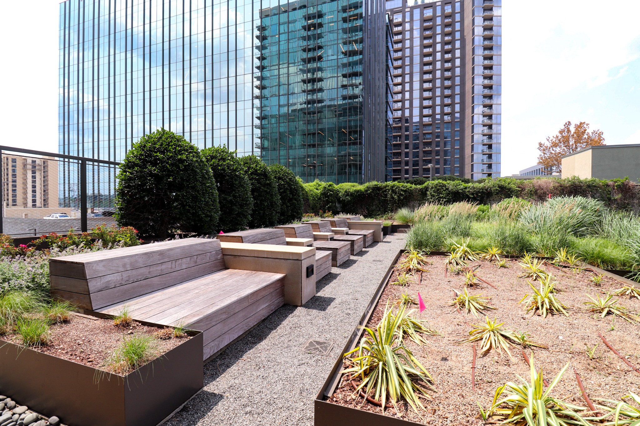 1212 Laurel St Unit: 1708