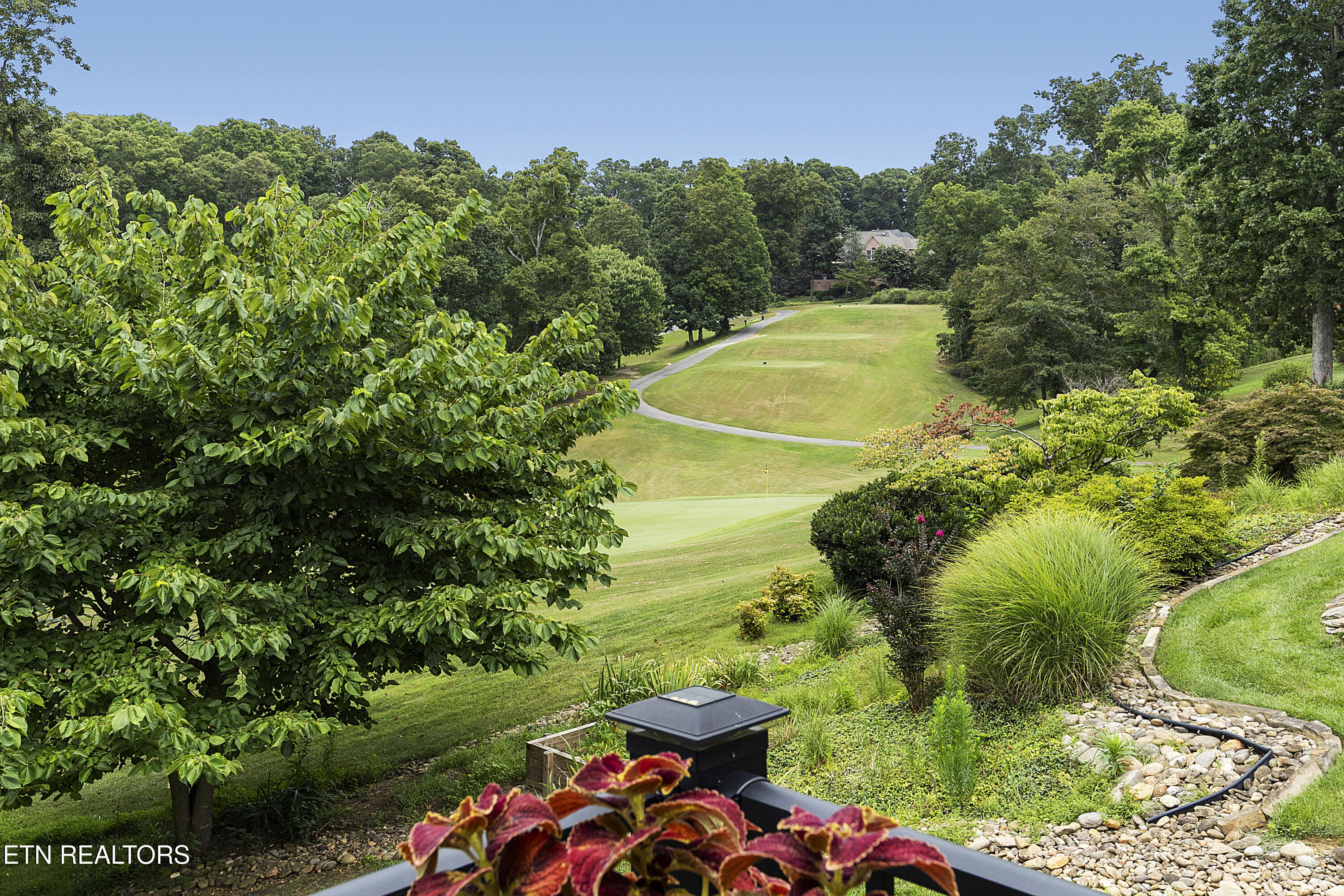 909 Timberline Drive