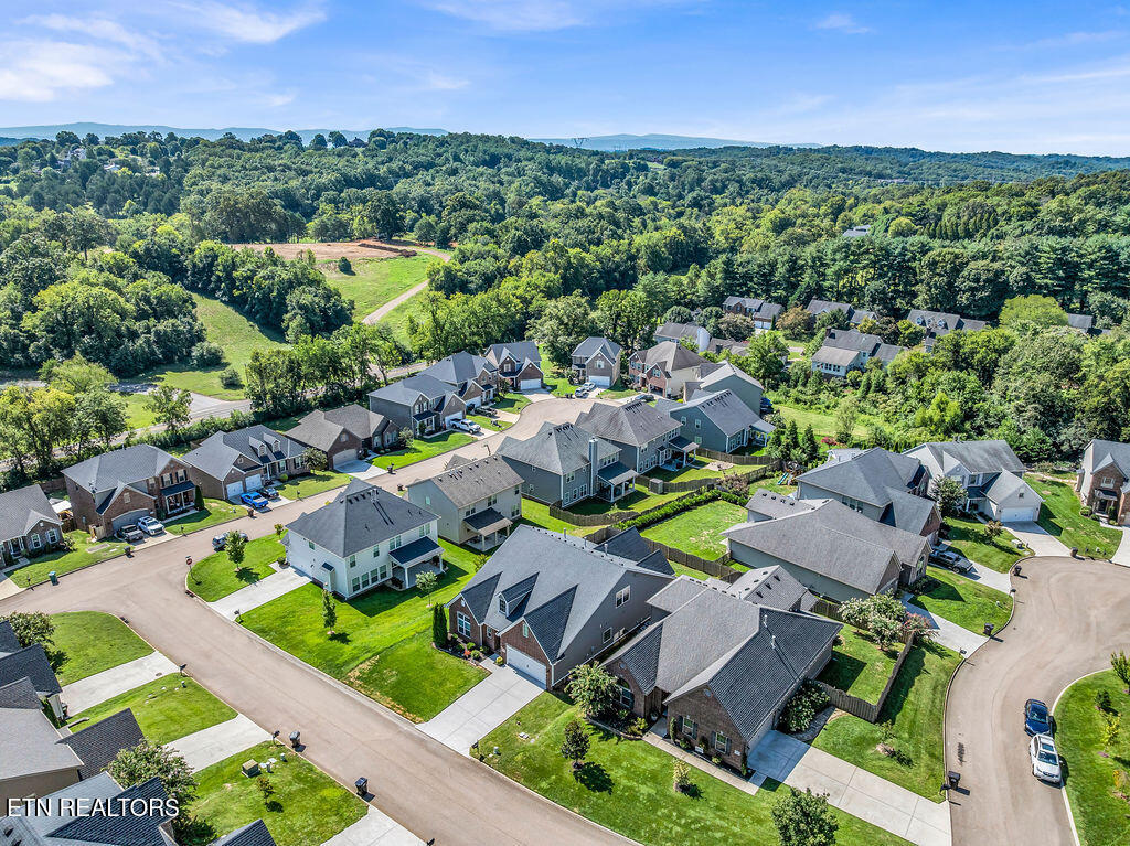 1449 Mossy Rock Lane