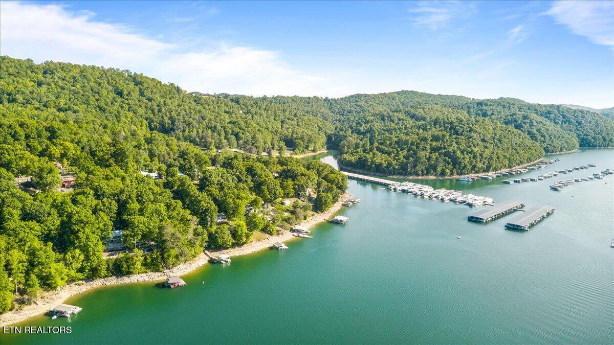244 Lakeshore Drive