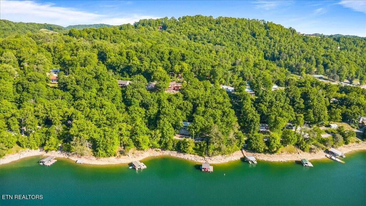 244 Lakeshore Drive