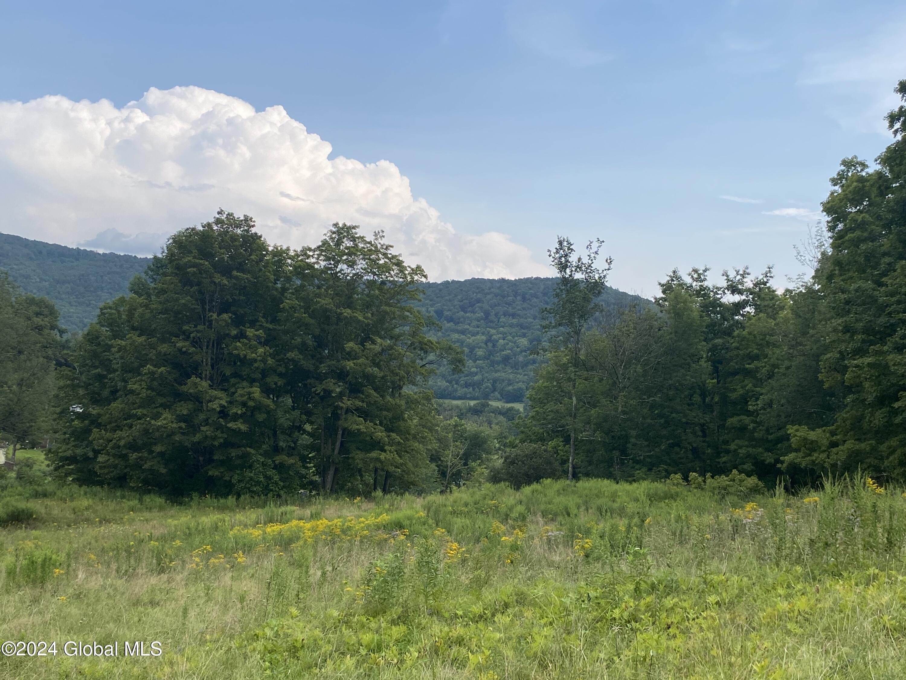 111 Cold Spring Rd Road