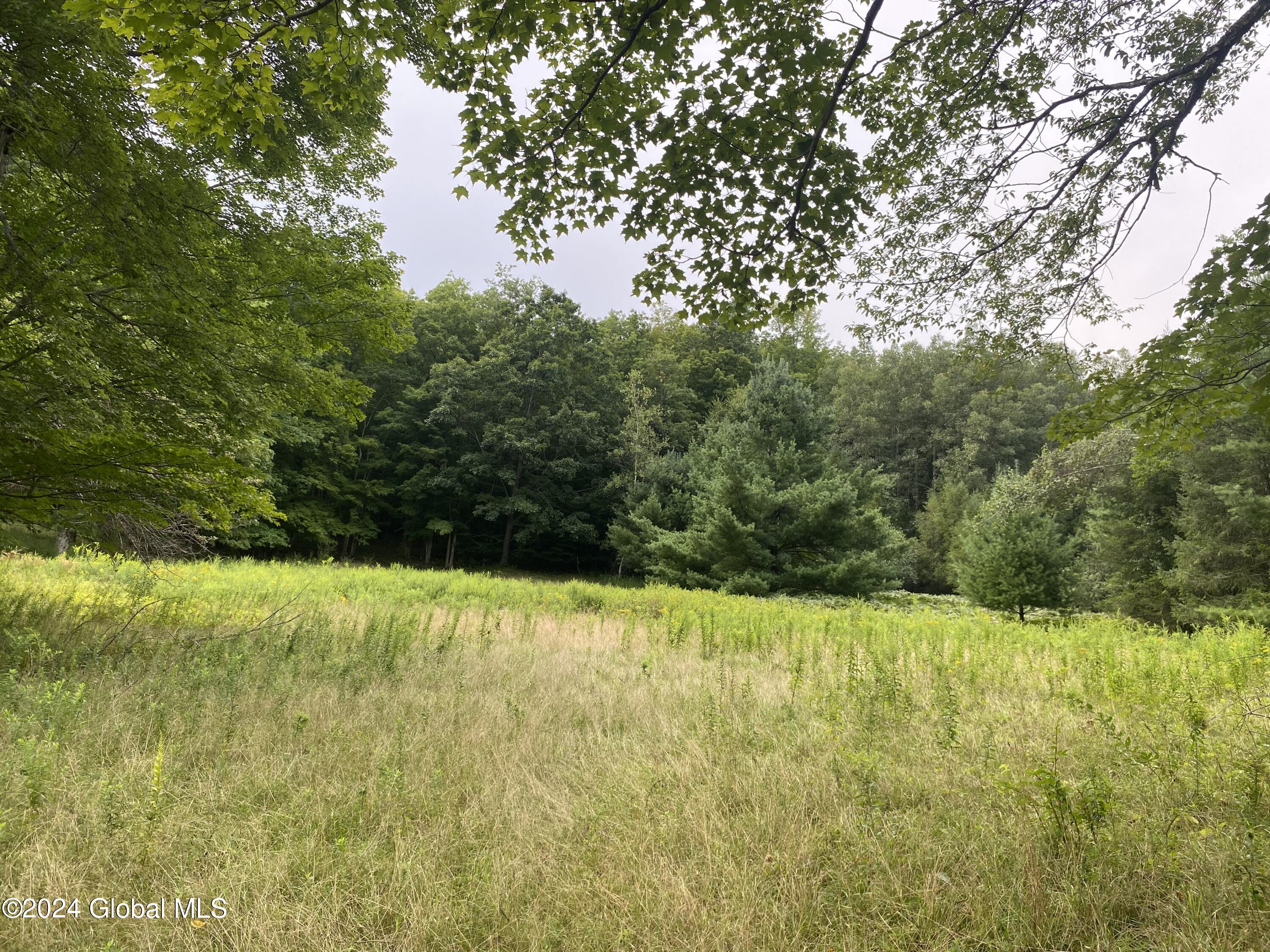 111 Cold Spring Rd Road