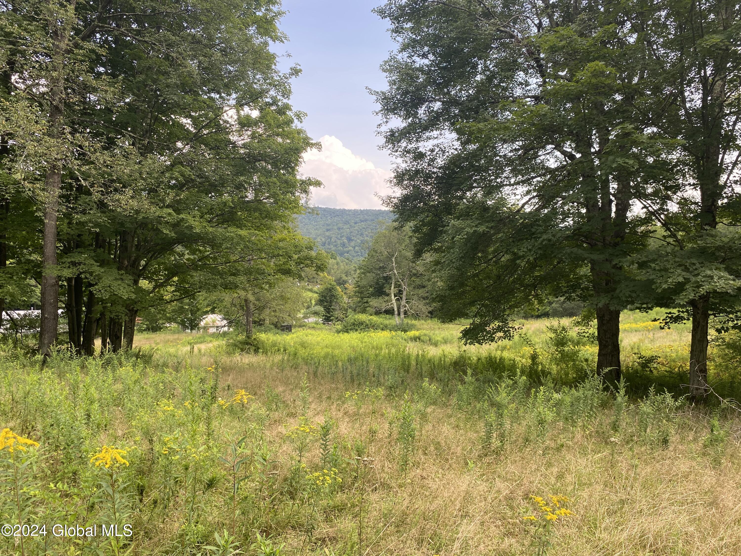 111 Cold Spring Rd Road
