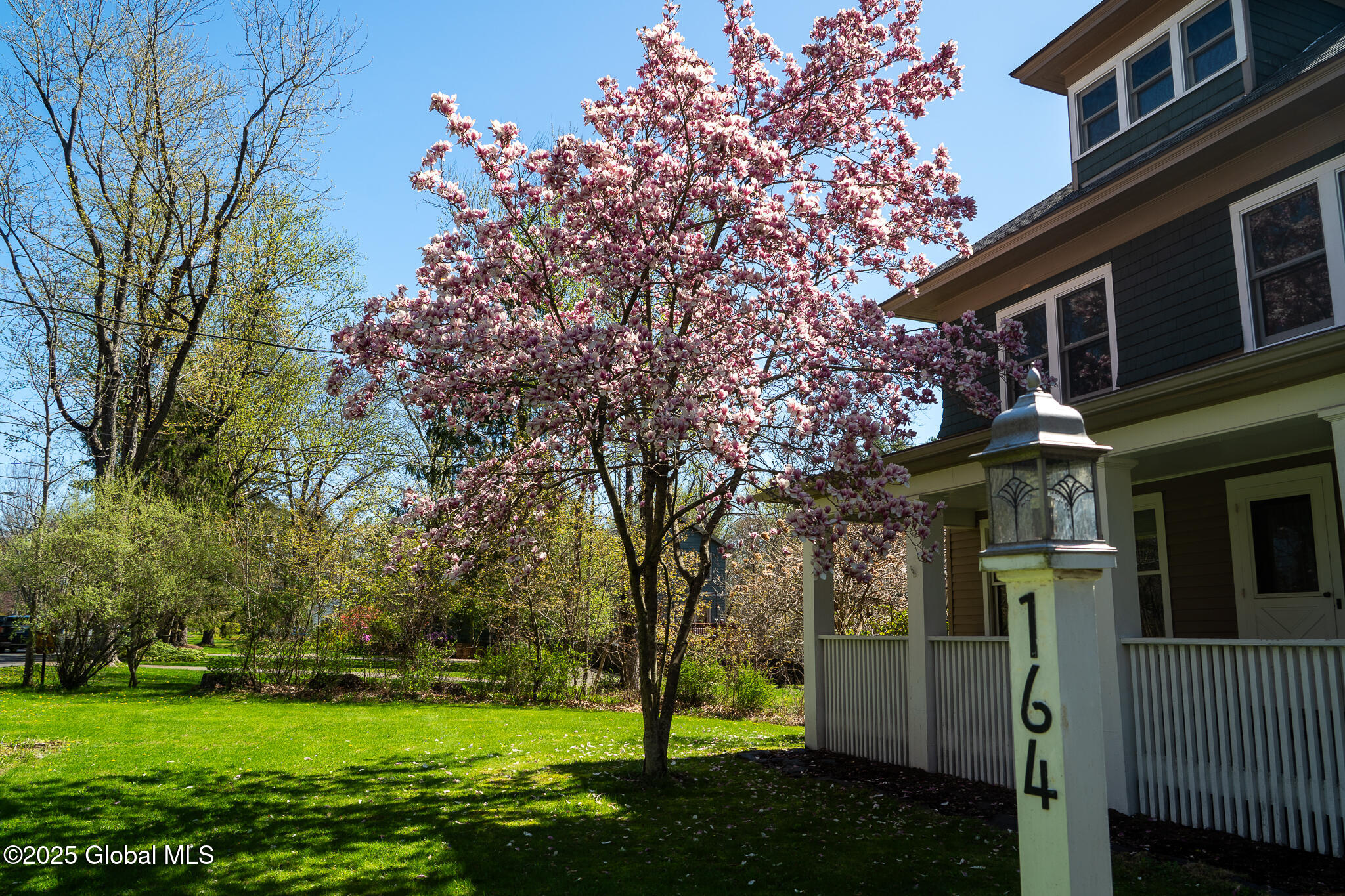 164 Orchard Street