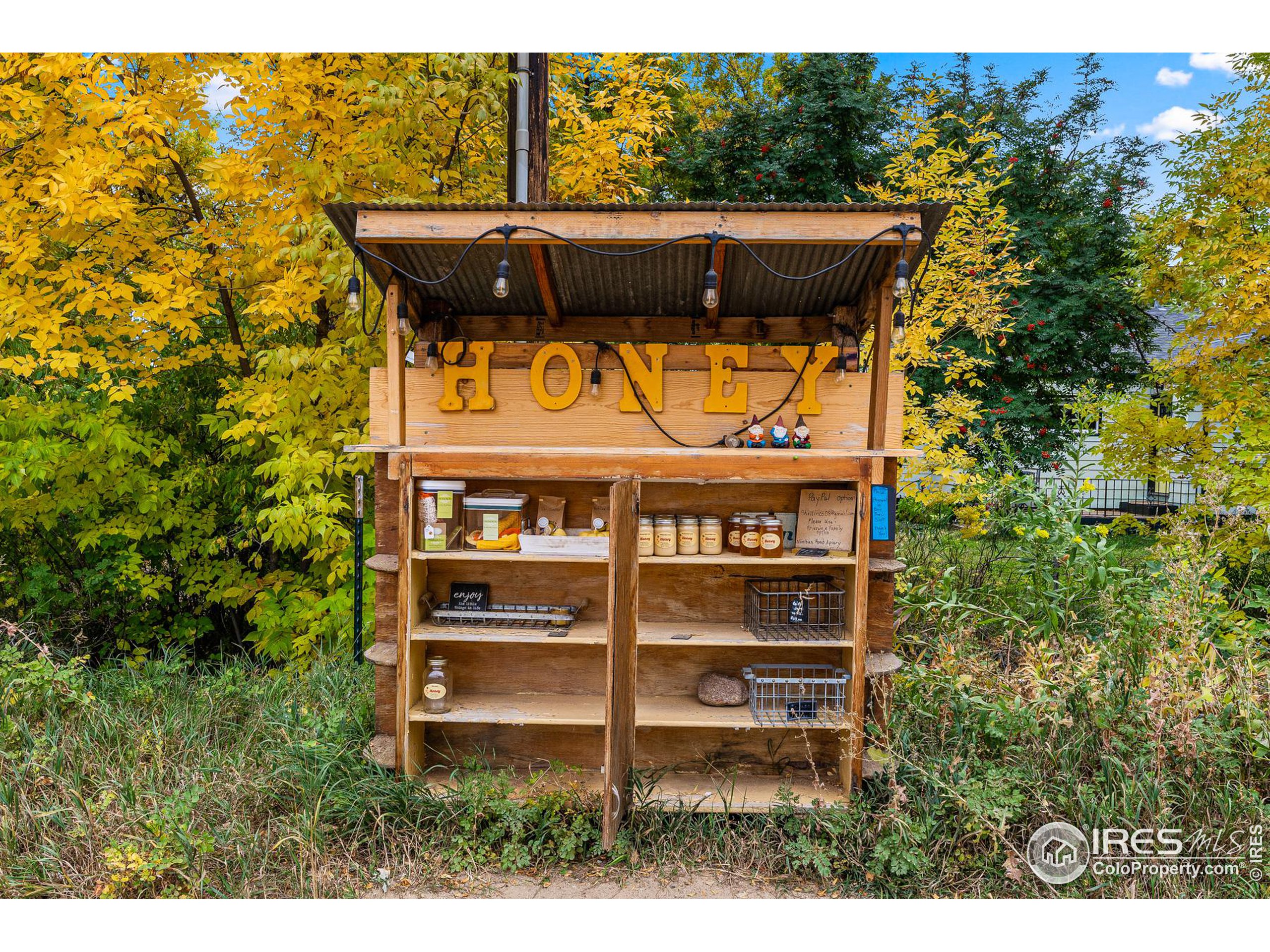 7011 Fairways Dr Longmont