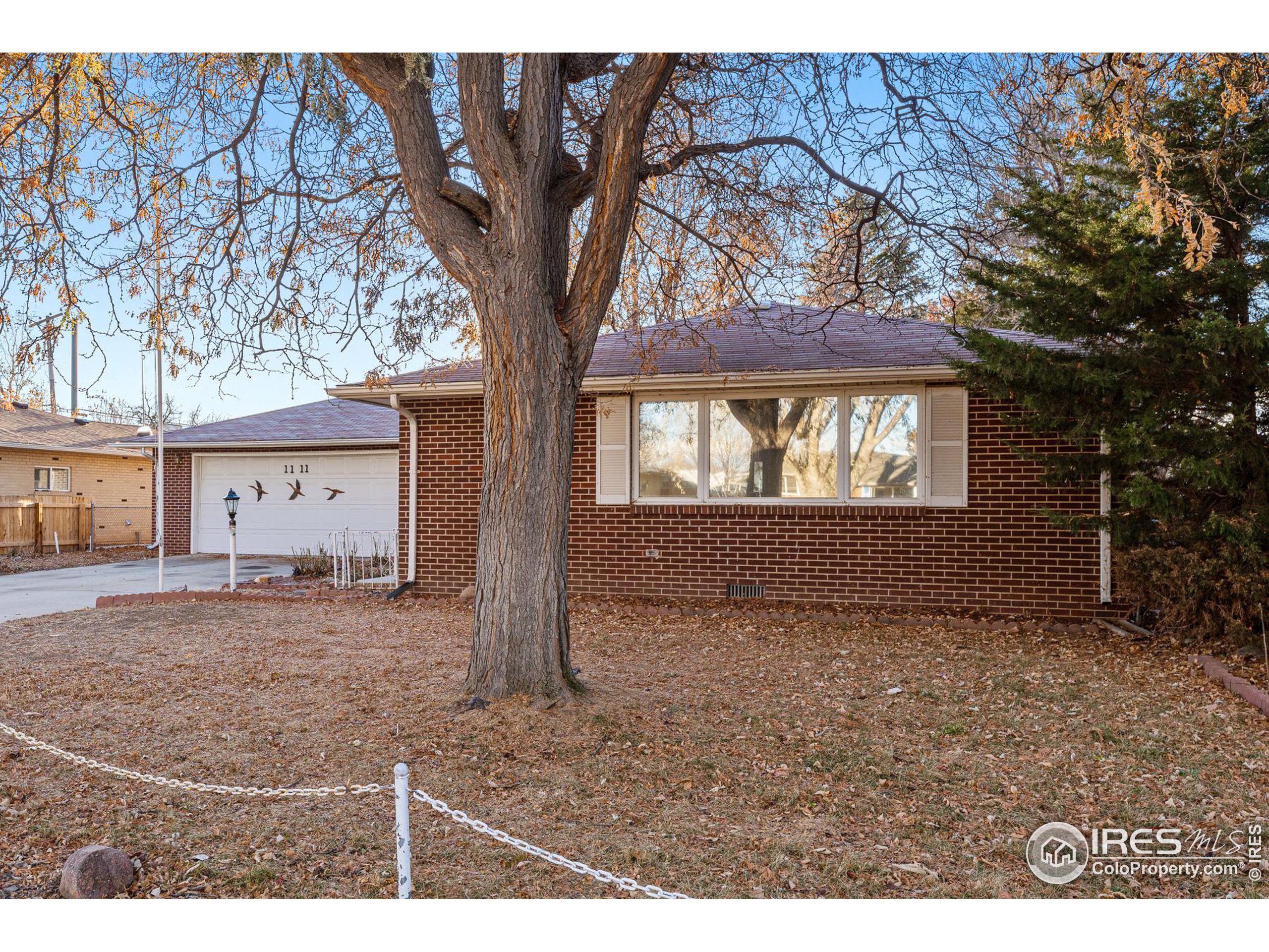 1111 Vivian St Longmont