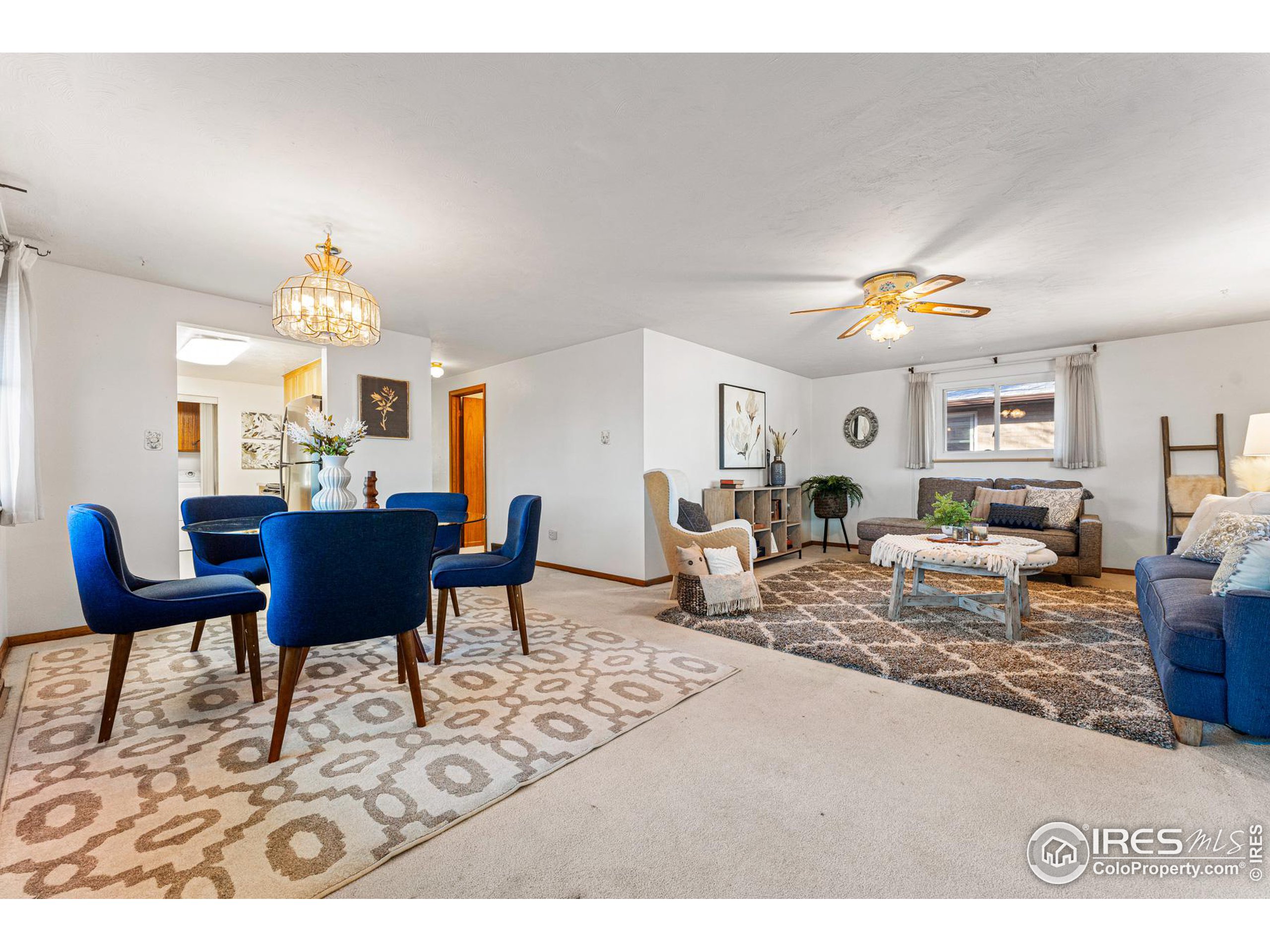 1111 Vivian St Longmont