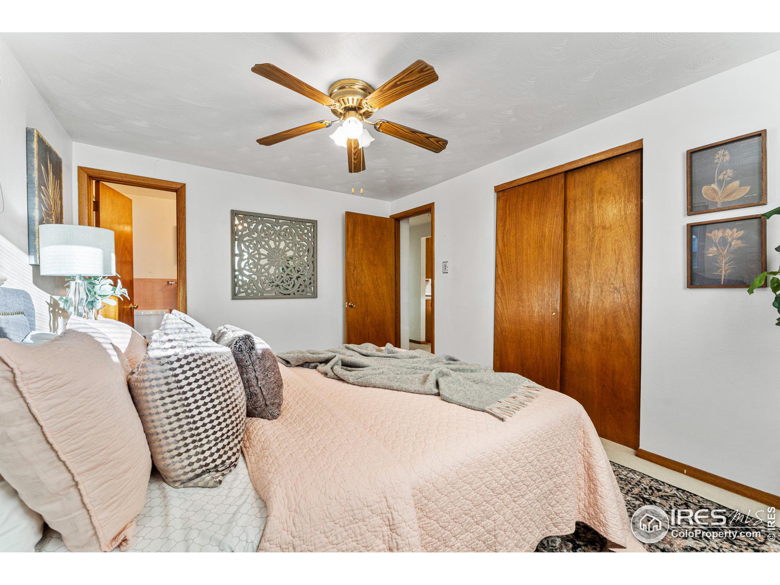 1111 Vivian St Longmont