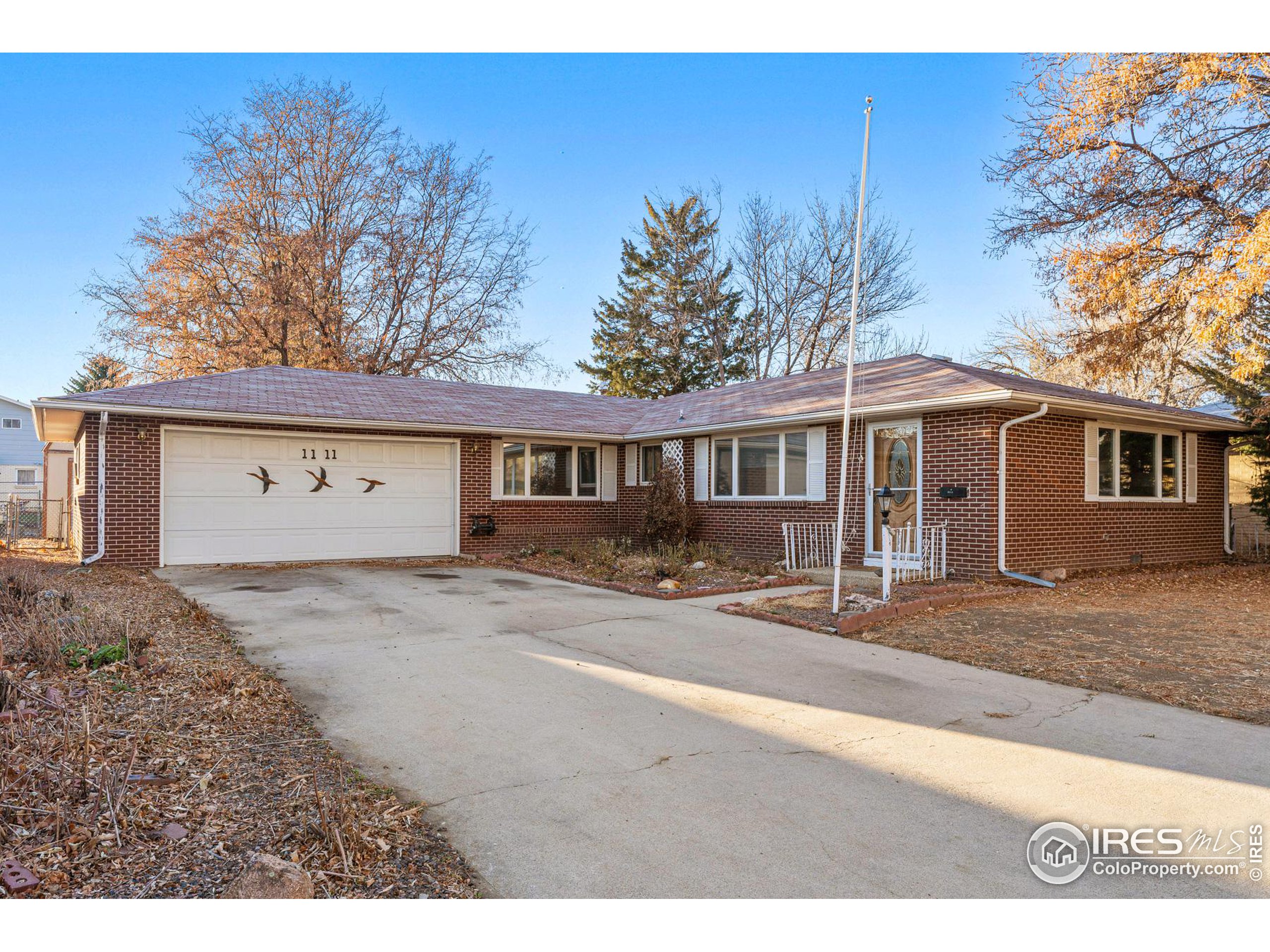 1111 Vivian St Longmont