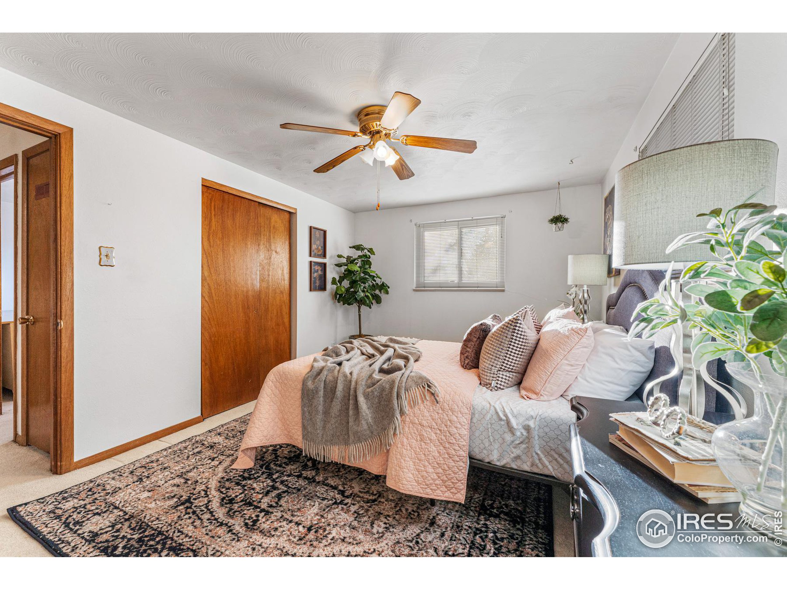 1111 Vivian St Longmont