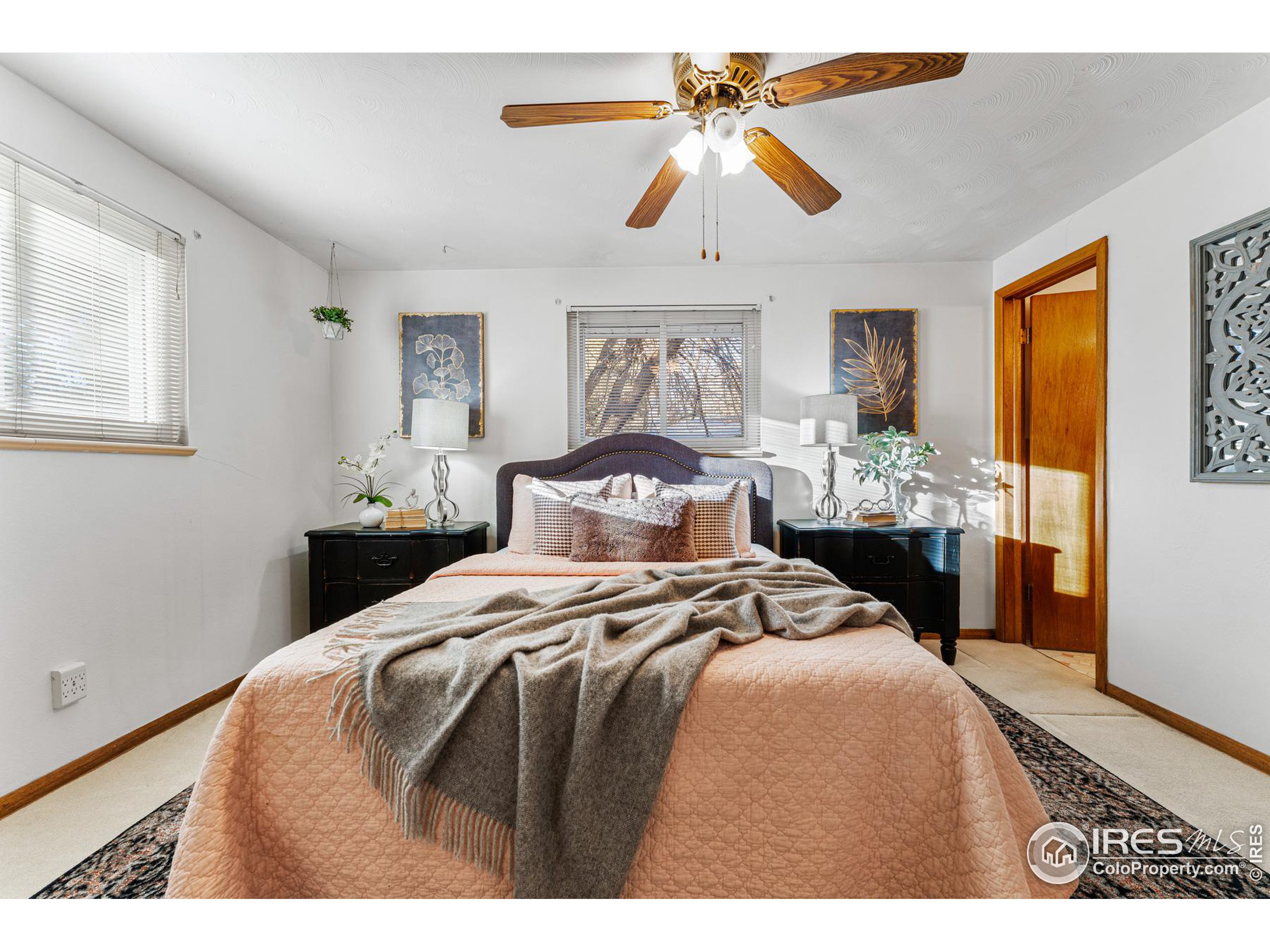 1111 Vivian St Longmont