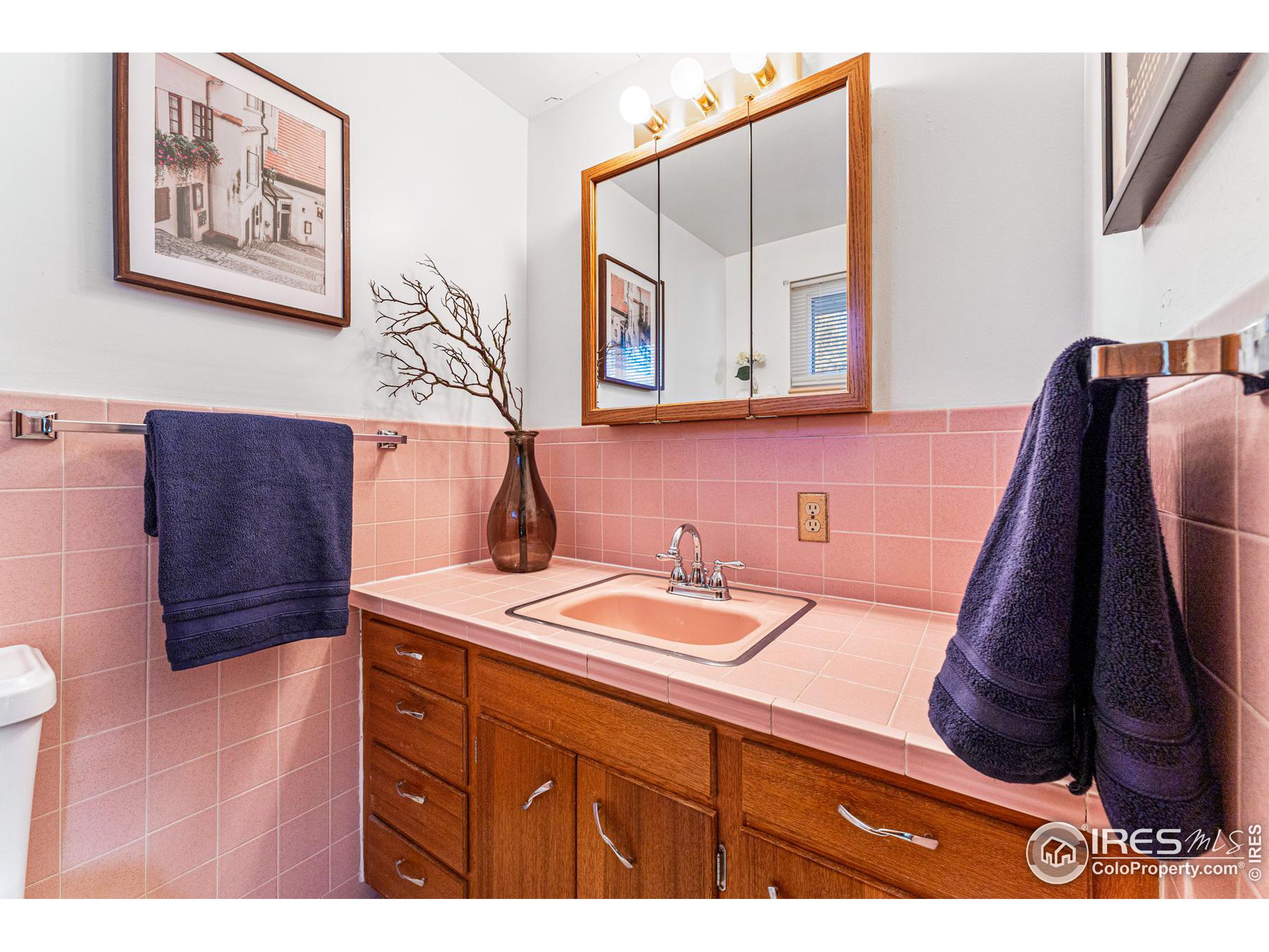 1111 Vivian St Longmont