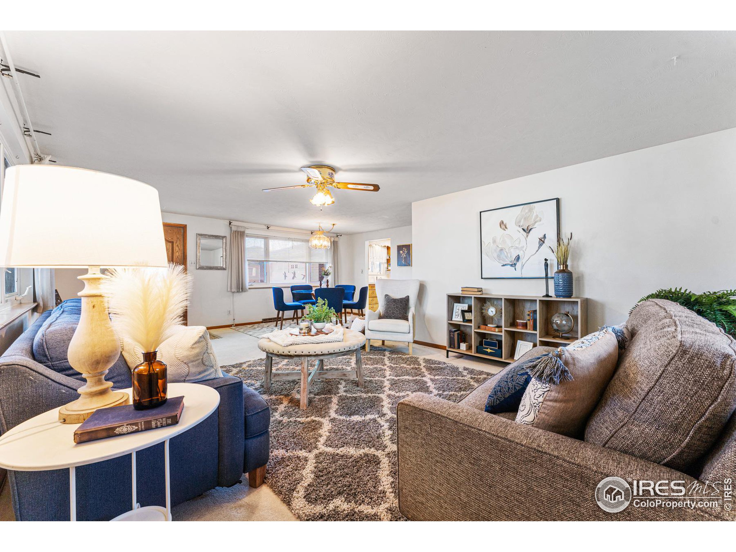 1111 Vivian St Longmont