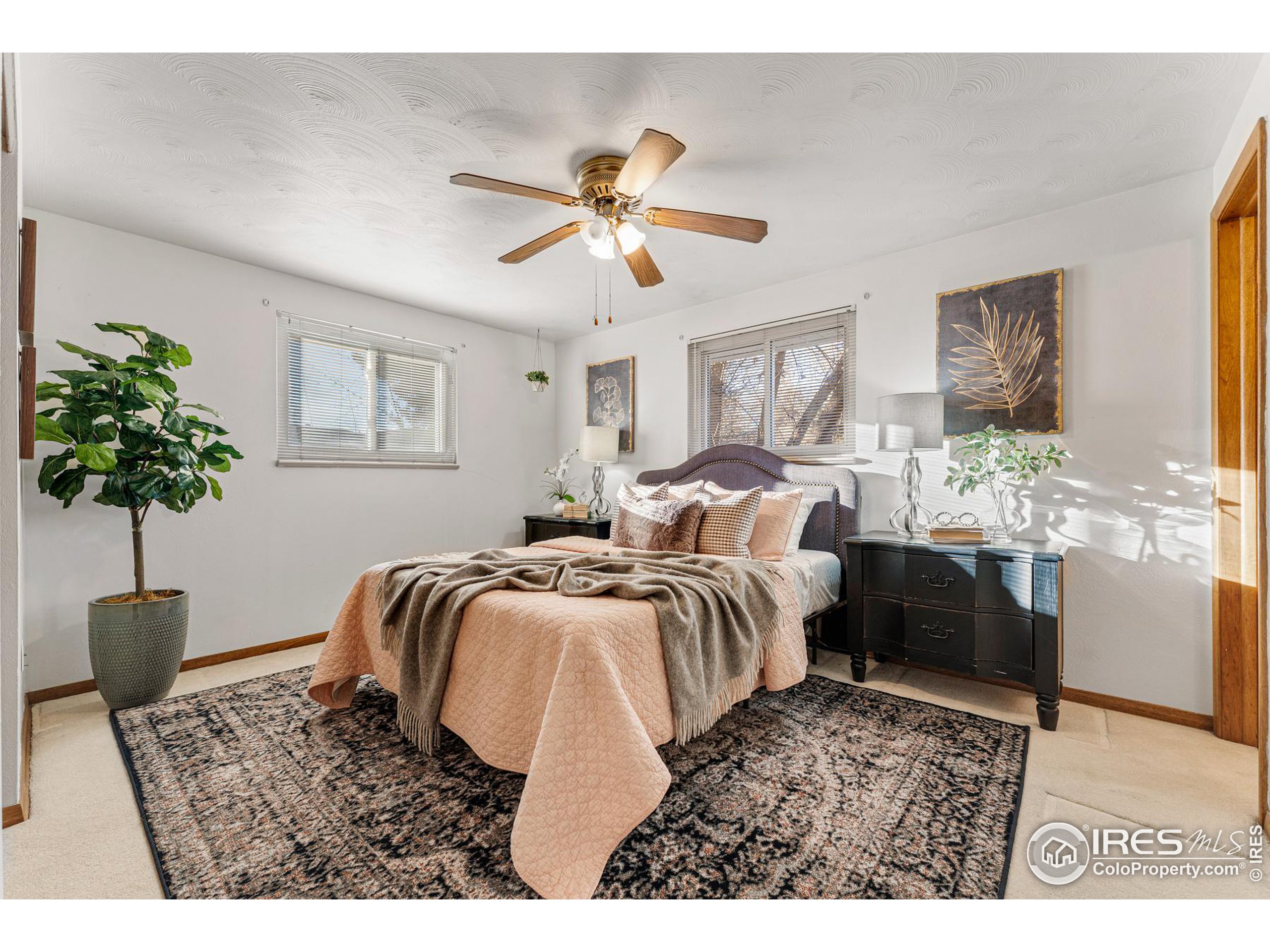 1111 Vivian St Longmont