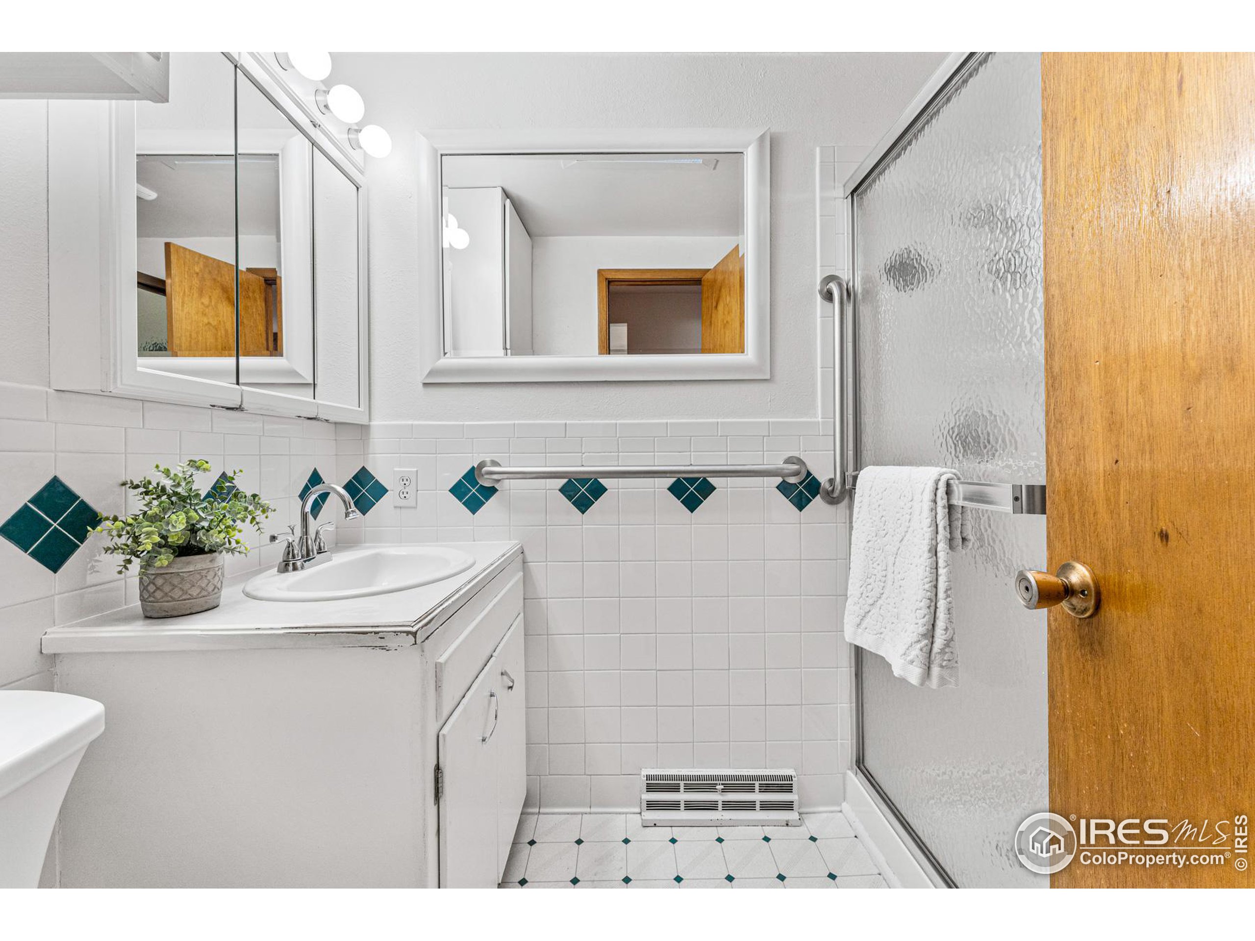1111 Vivian St Longmont