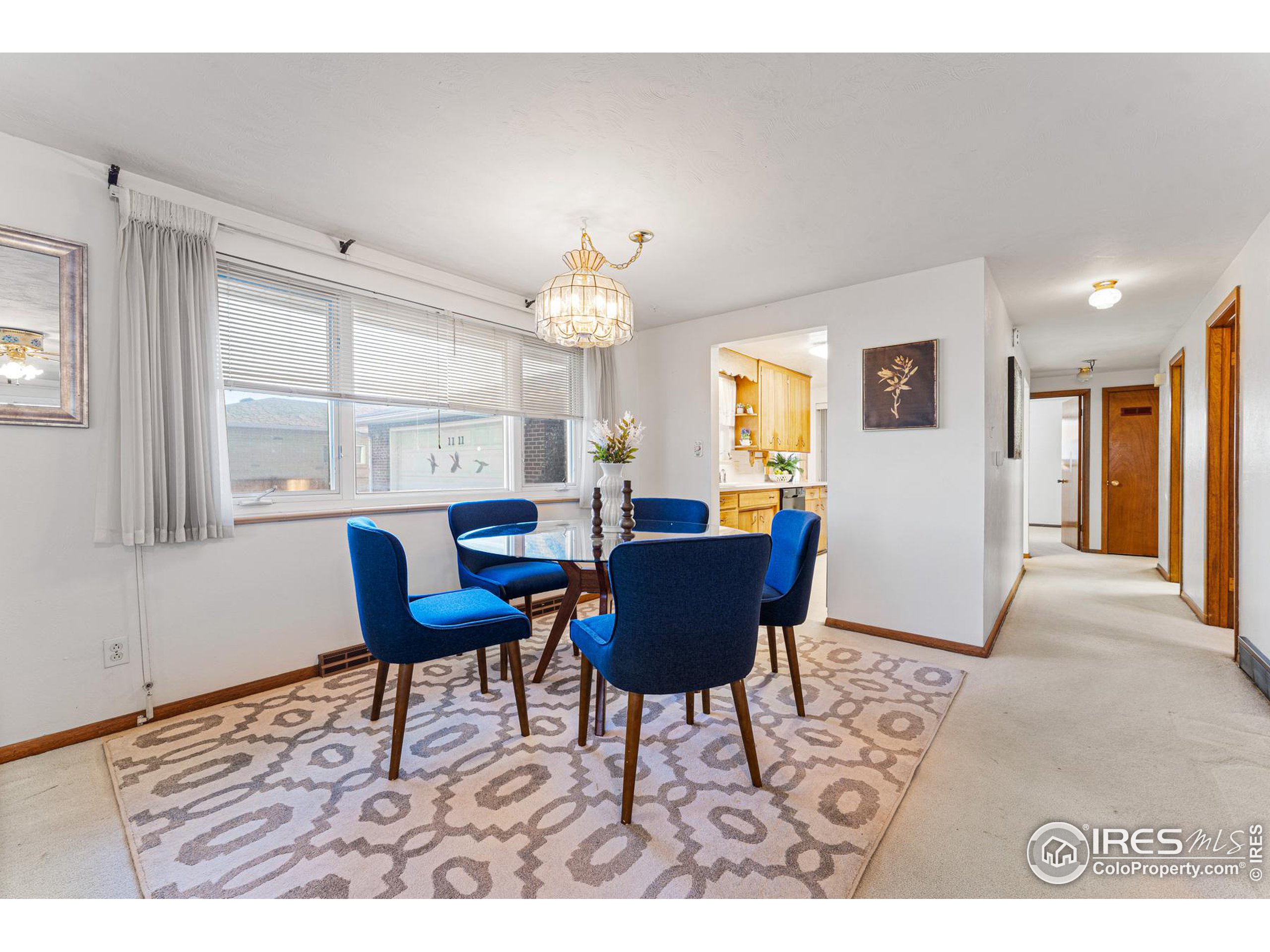 1111 Vivian St Longmont