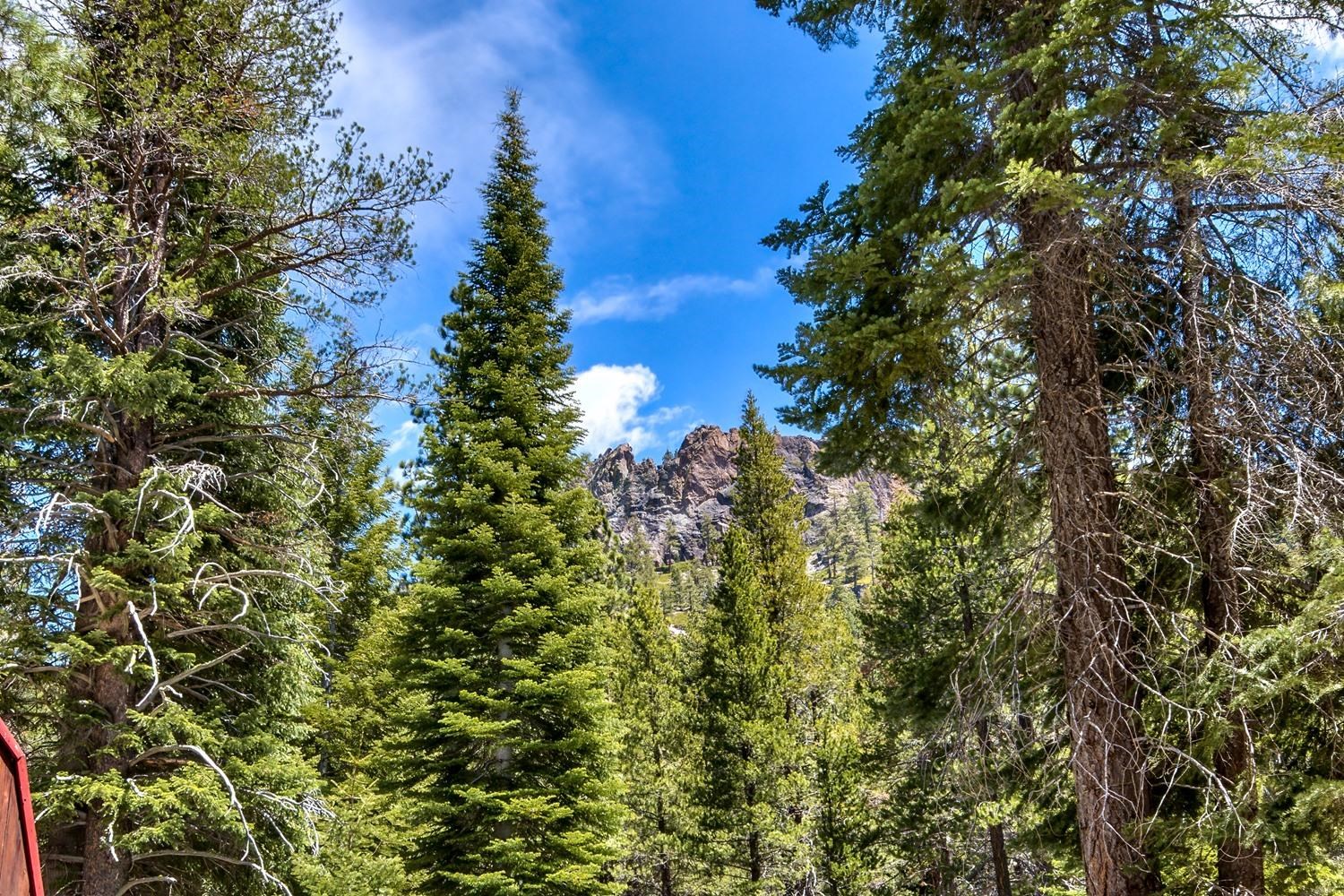 7500 River Road