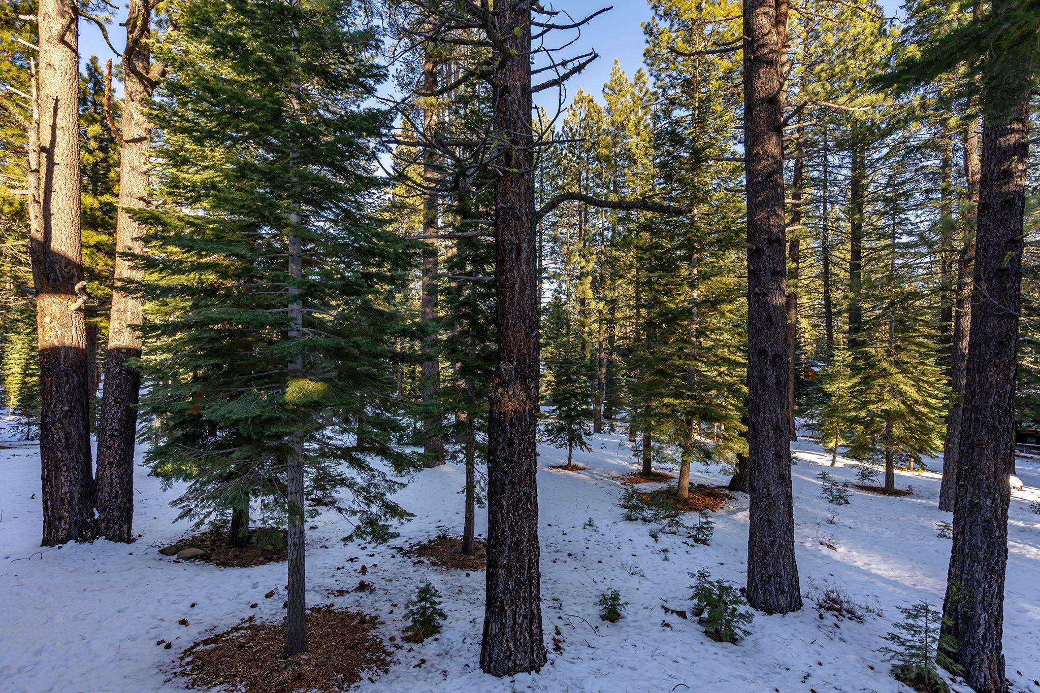 11161 Parkland Drive