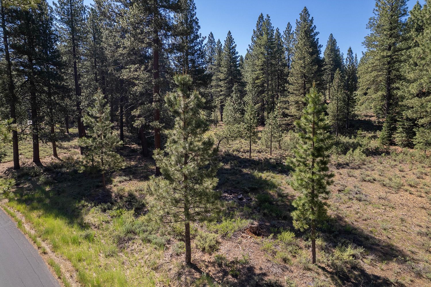 15375 Kent Drive Truckee California