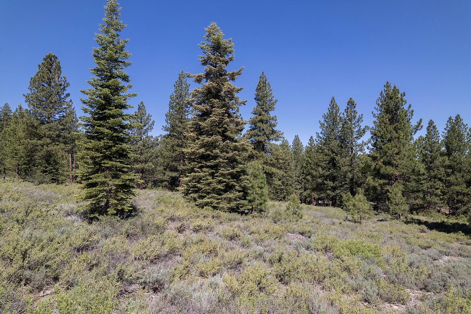 15375 Kent Drive Truckee California