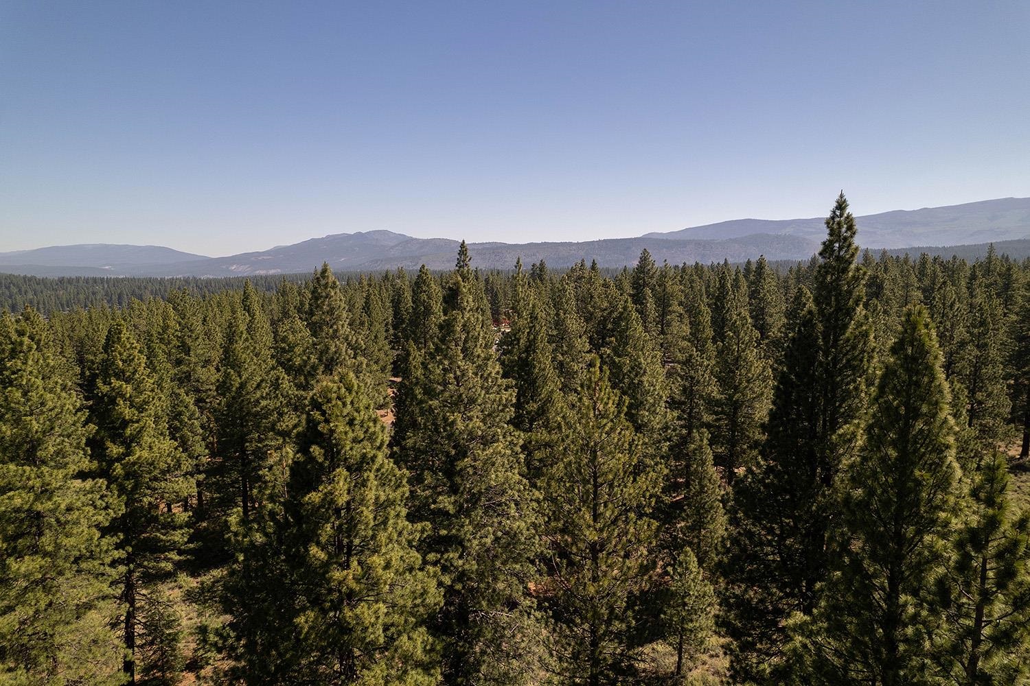 15375 Kent Drive Truckee California