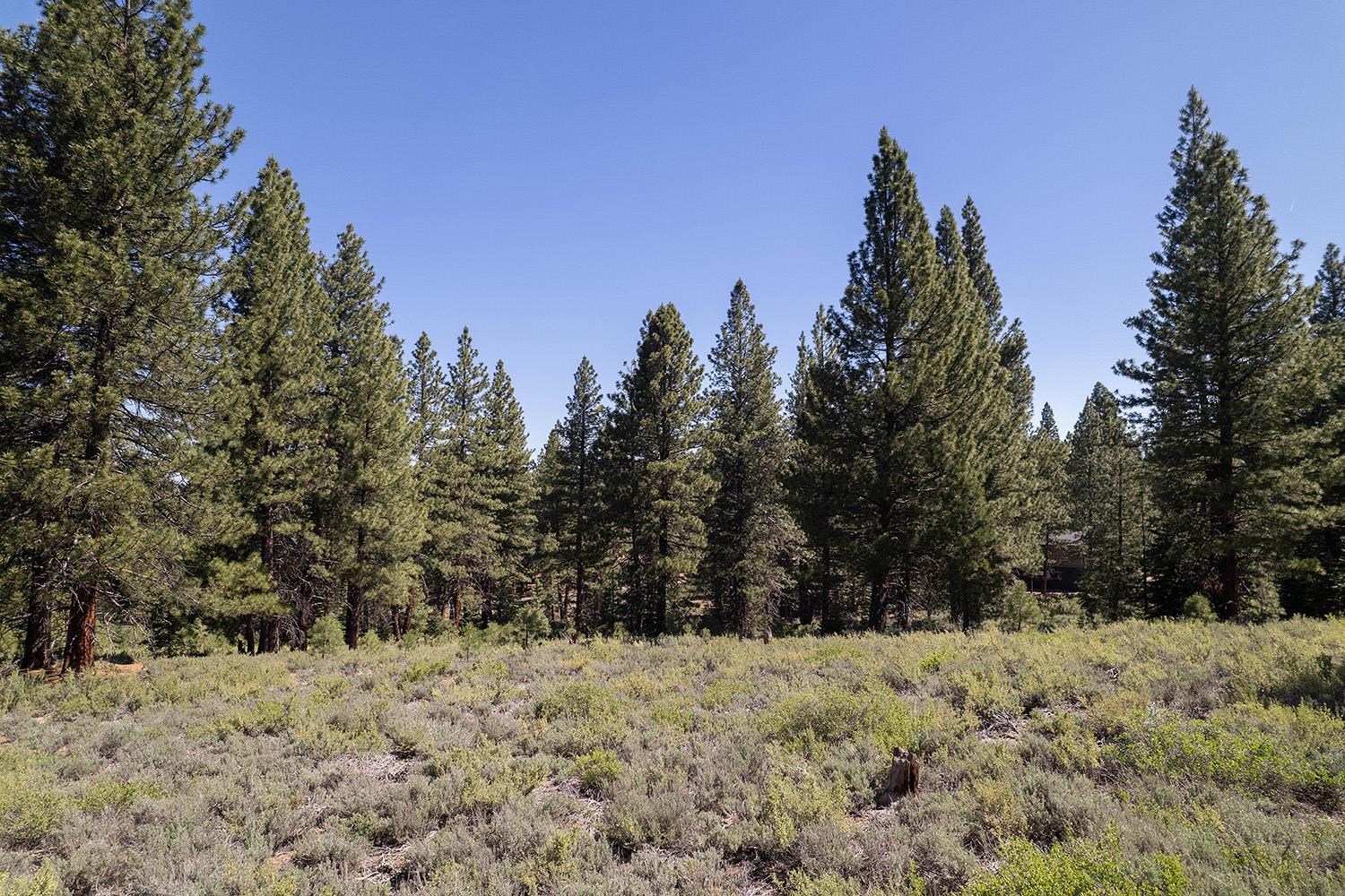 15375 Kent Drive Truckee California