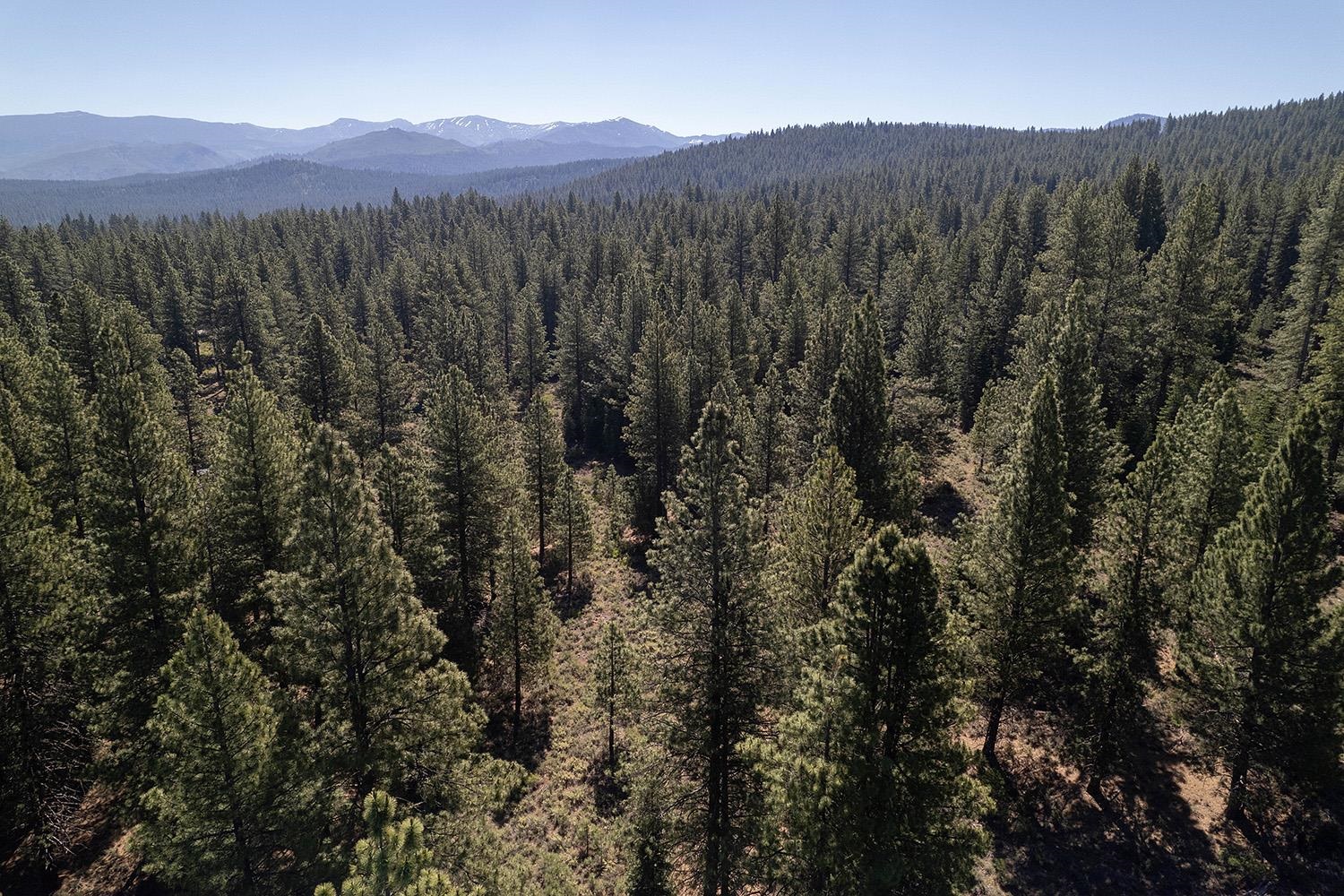 15375 Kent Drive Truckee California