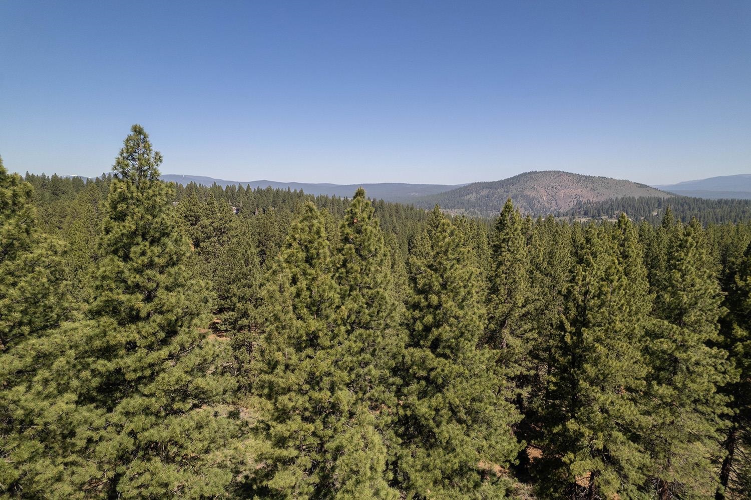 15375 Kent Drive Truckee California