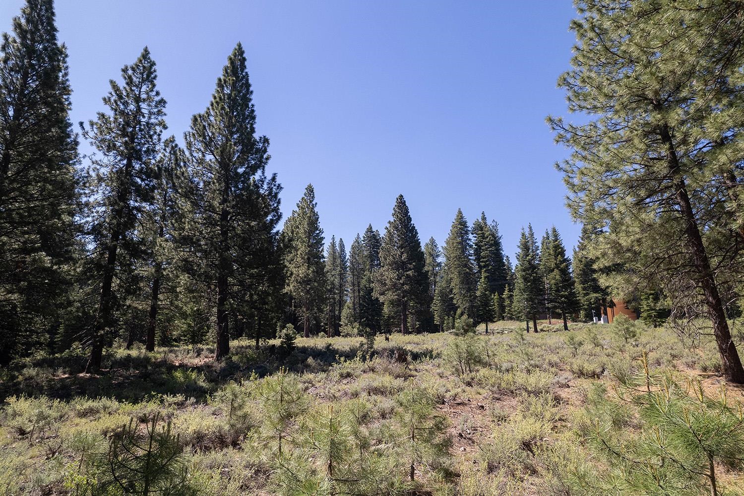 15375 Kent Drive Truckee California