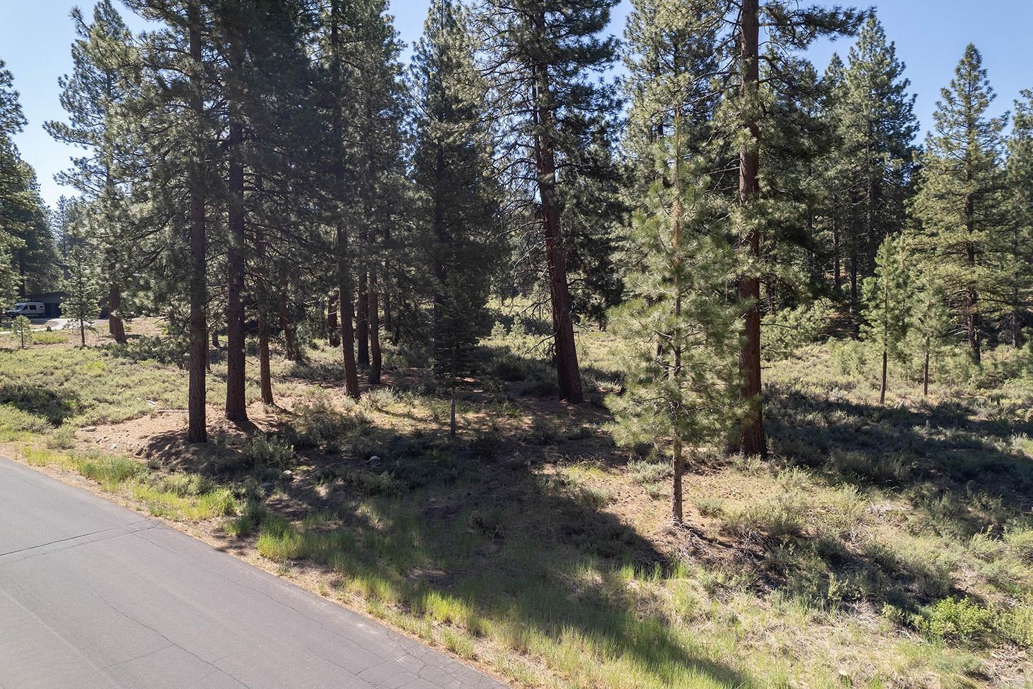 15375 Kent Drive Truckee California