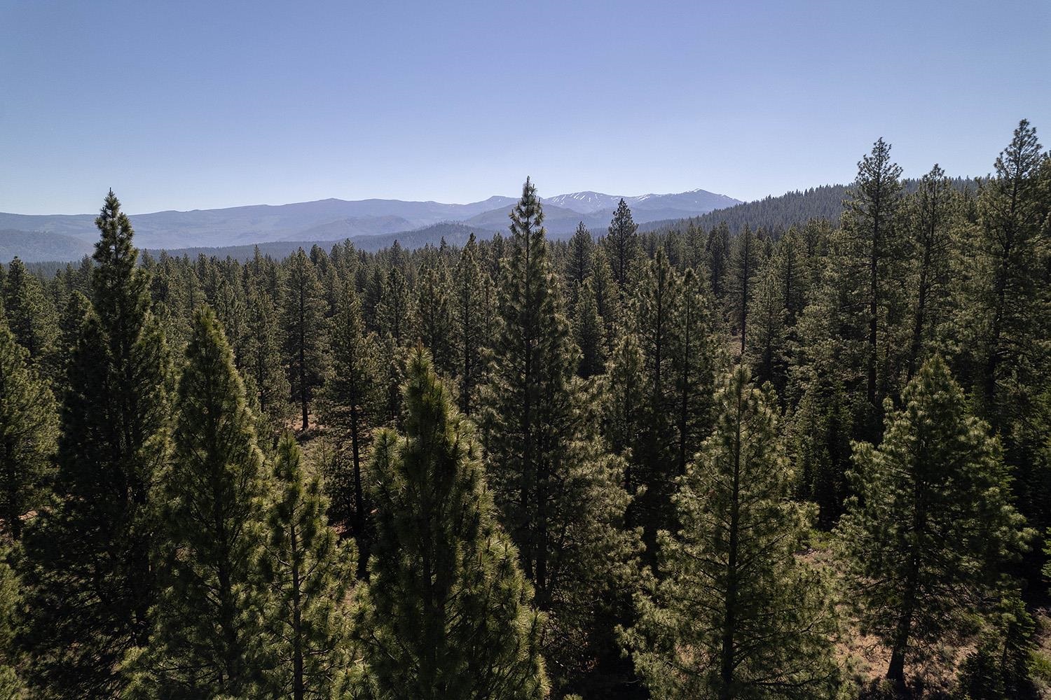 15375 Kent Drive Truckee California