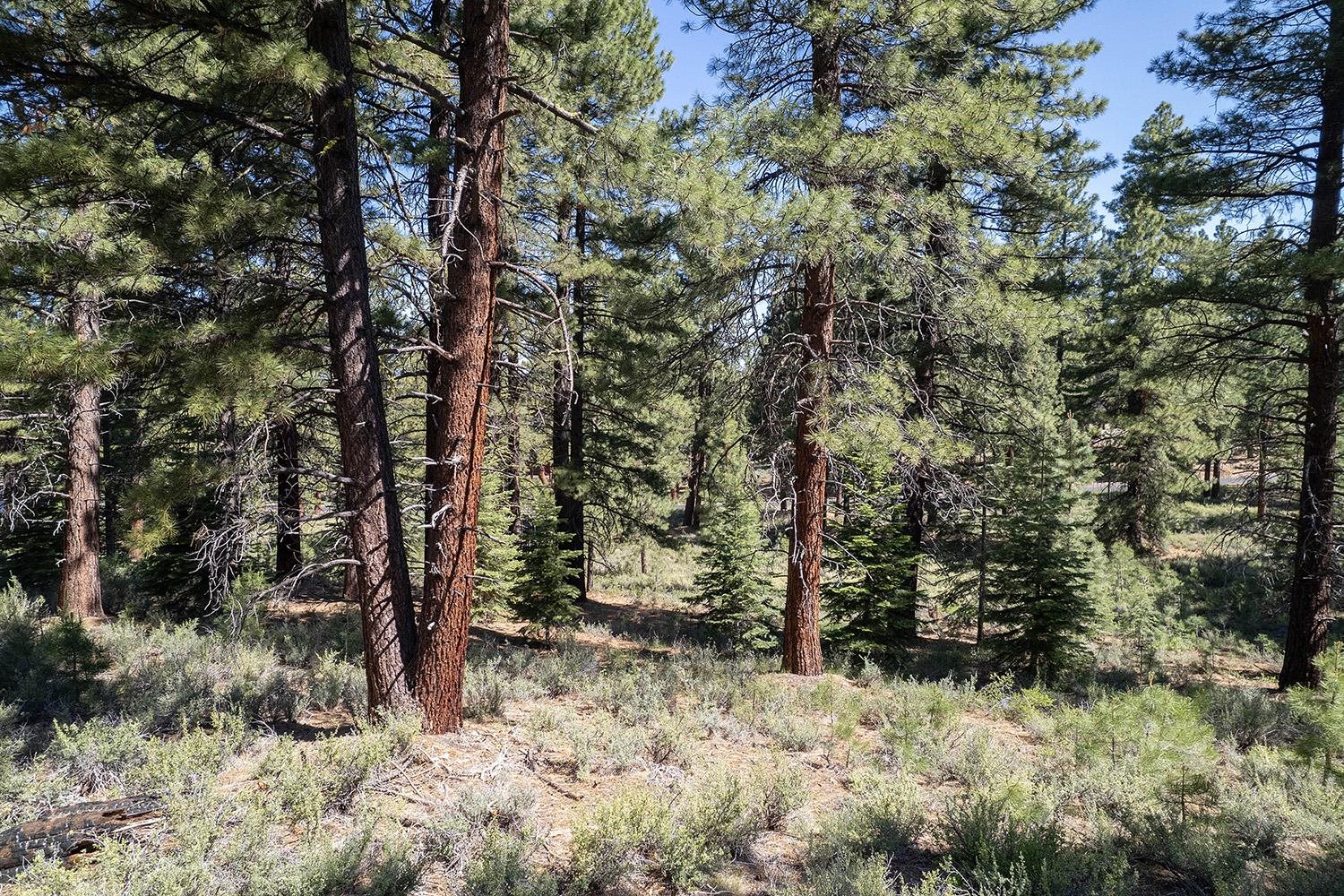 15375 Kent Drive Truckee California