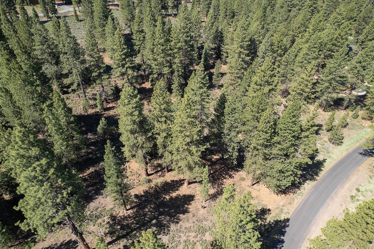 15375 Kent Drive Truckee California