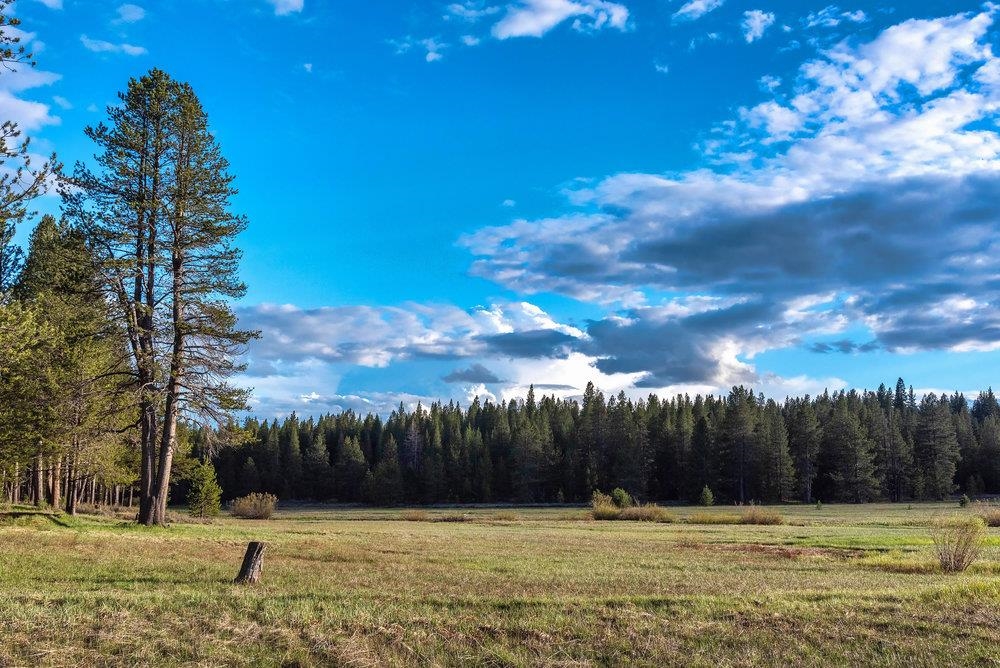 11422 Bennett Flat Road