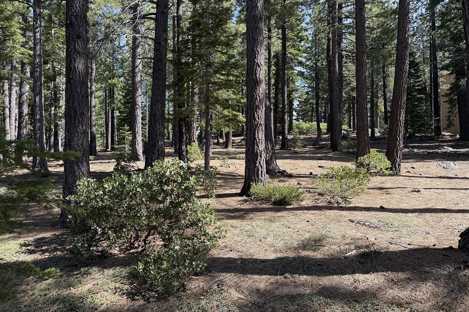 13080 Roundhill Drive