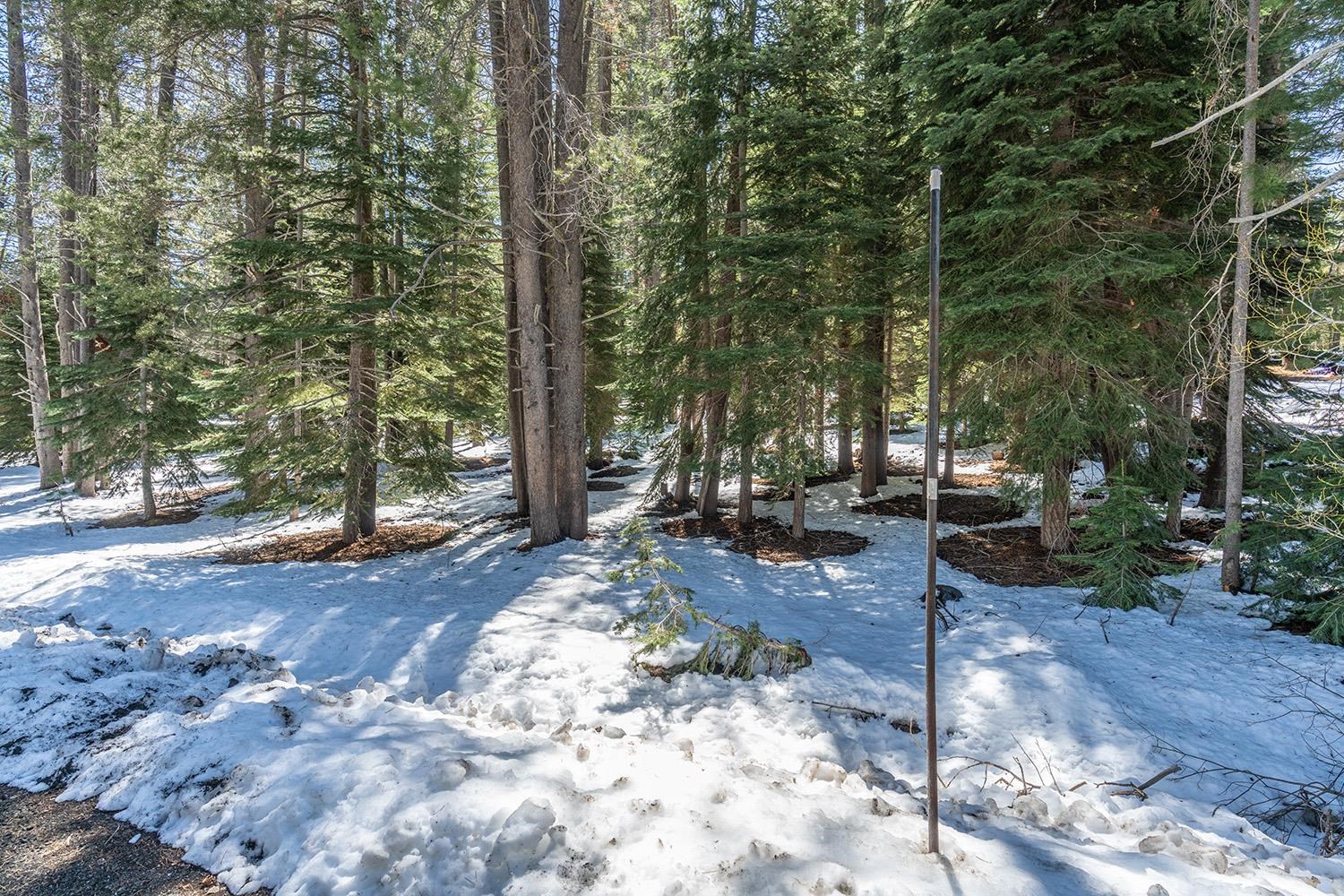 10489 E Alder Creek Road