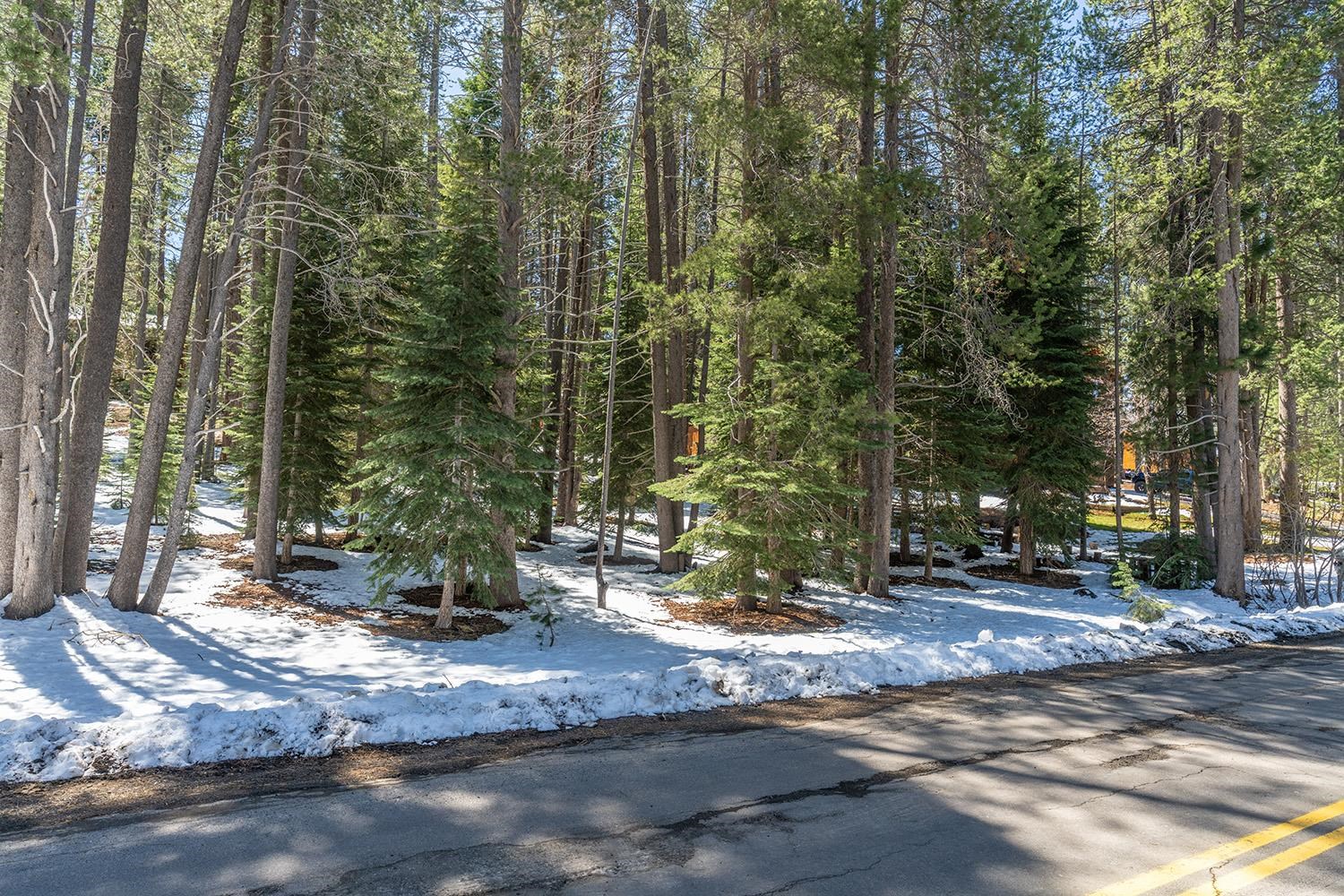 10489 E Alder Creek Road